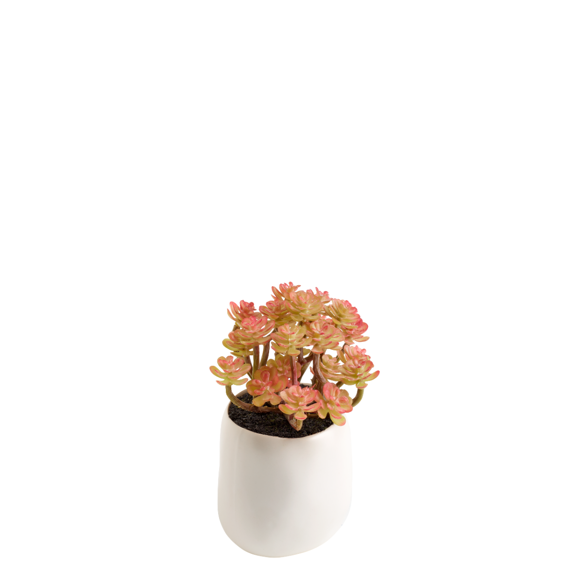 sia-deco-noah-succulente-en-pot-plante-artificielle-orange-vert-12-cm image 1