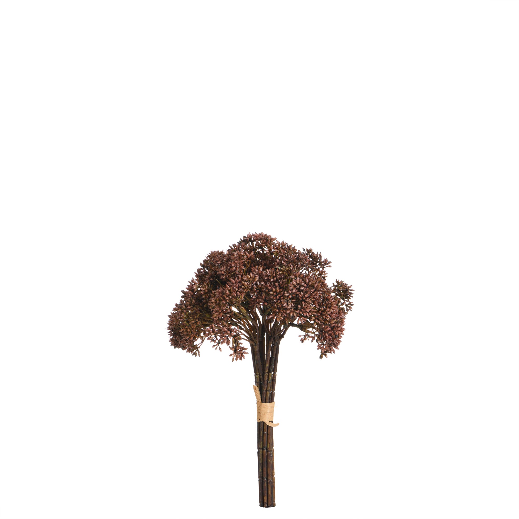 sia-deco-noah-bouquet-d-orpin-artificiel-ivoire-30-cm image 4