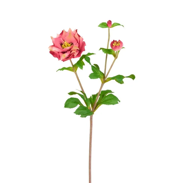 sia-noah-helleborus-tige-artificielle-49-cm-rose-jaune image 1