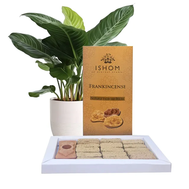 ishom-natural-incense-bricks-encens-briques-15-oliban image 1