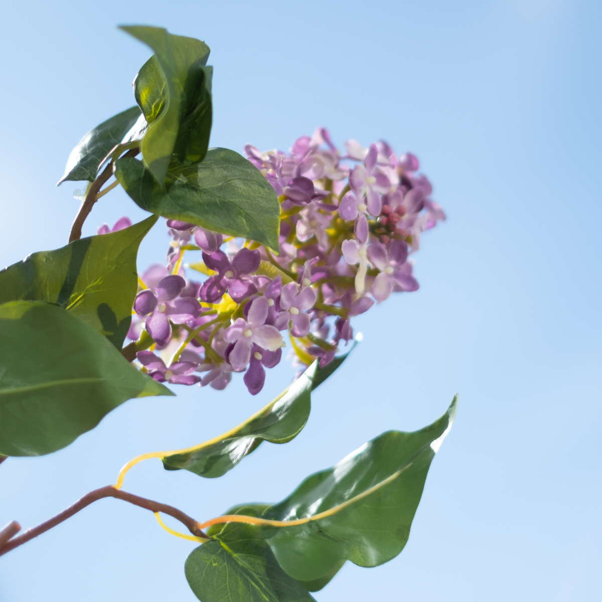 sia-noah-tige-lilas-fleur-artificielle-60-cm image 4