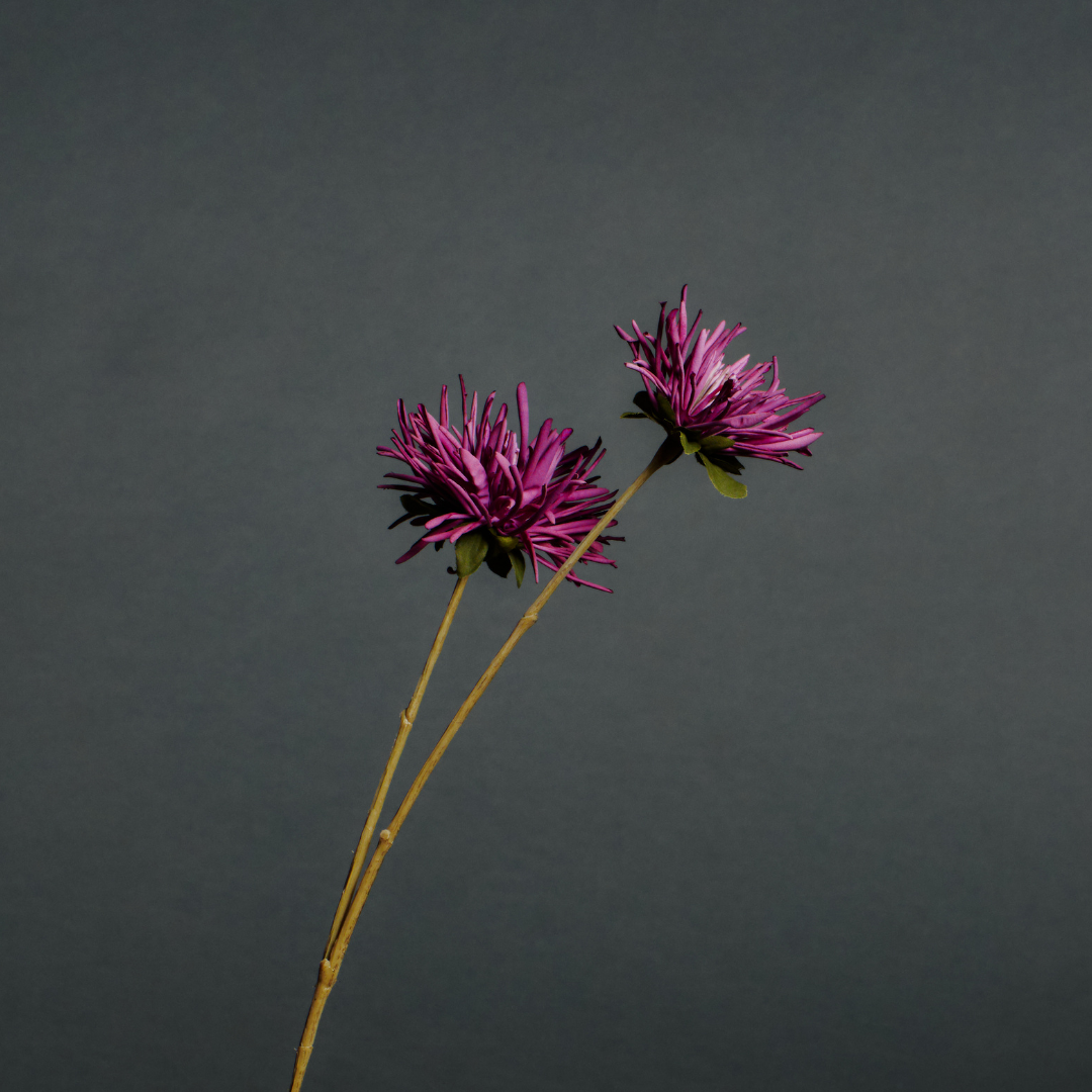 sia-noah-chrysanth-me-tokyo-tige-fleur-artificielle-mauve-73-cm image 3