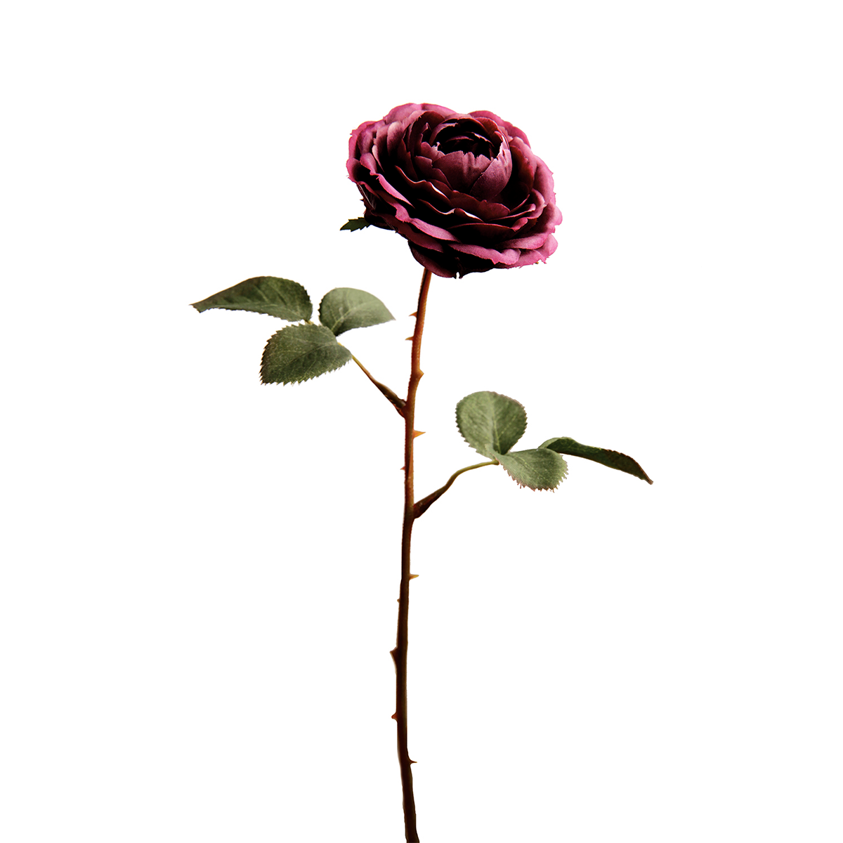 sia-deco-noah-rose-tea-33-cm-fleur-artificielle-jaune image 8