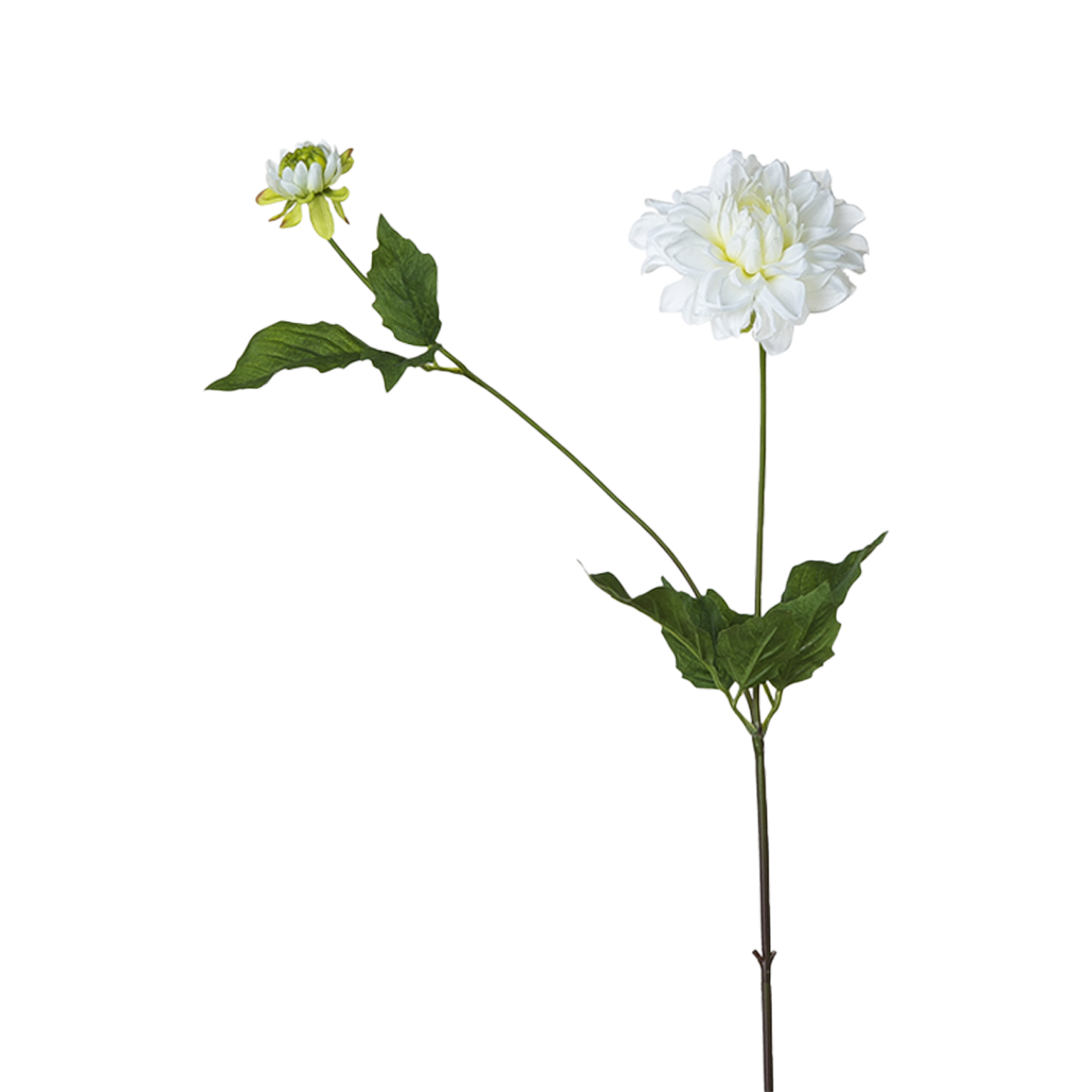 sia-noah-dahlia-tige-artificielle-69-cm-jaune image 8