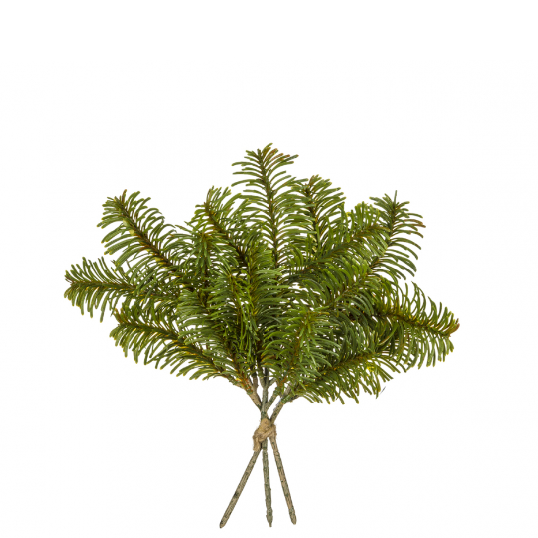 sia-noah-petit-bouquet-de-pin-vert-25-cm image 1