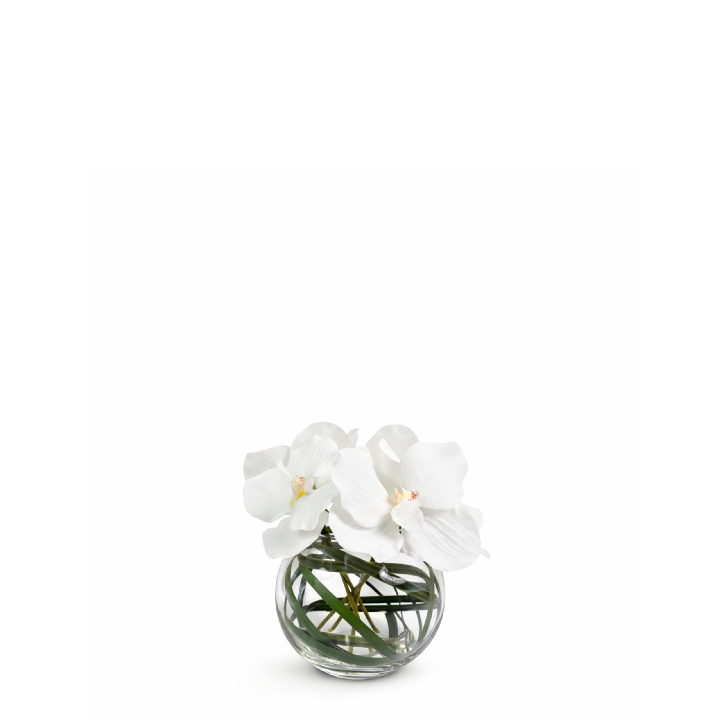 sia-deco-noah-chlo-composition-orchid-e-vase-rond-violet image 3
