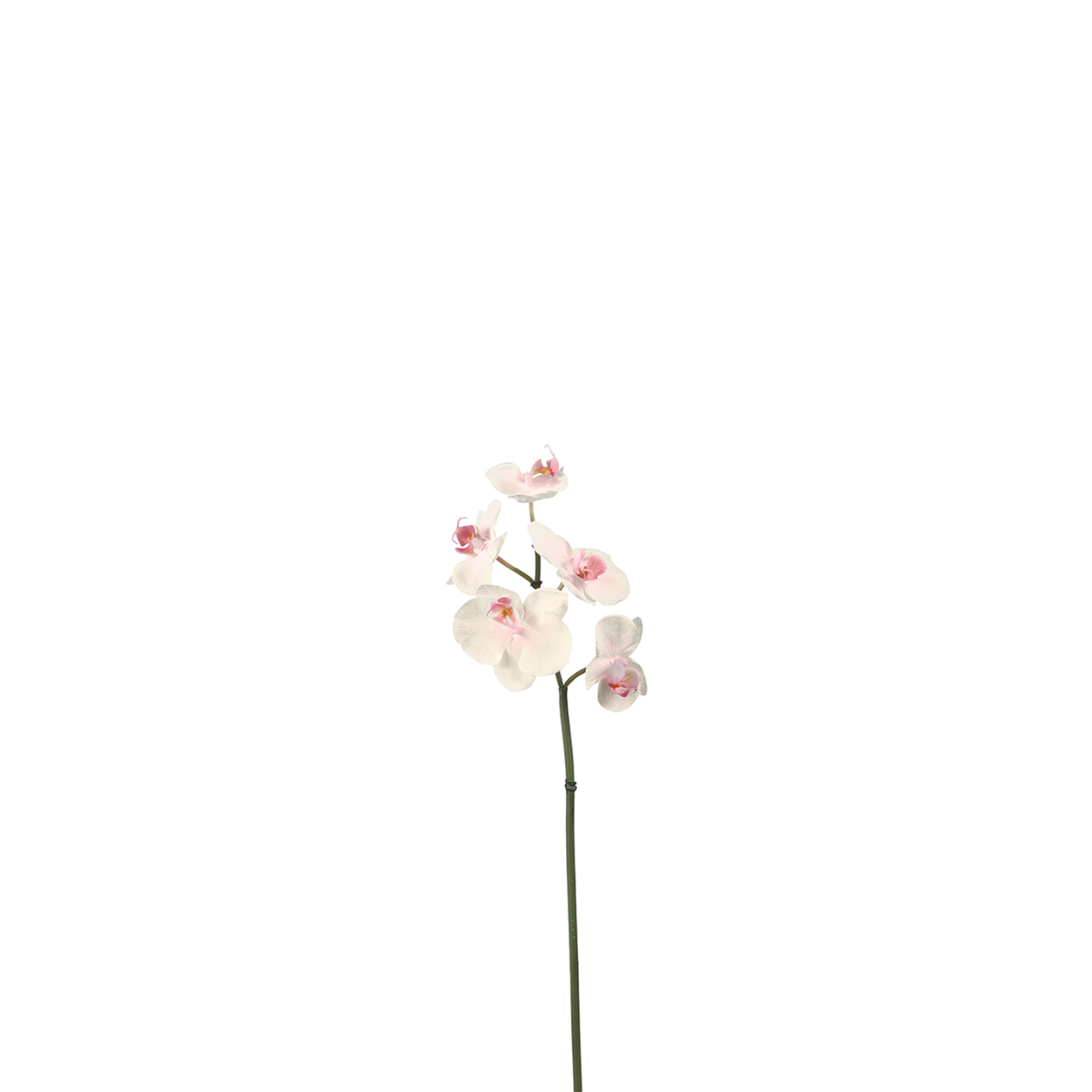 sia-deco-noah-orchid-e-phalaenopsis-blanche-45-cm image 4