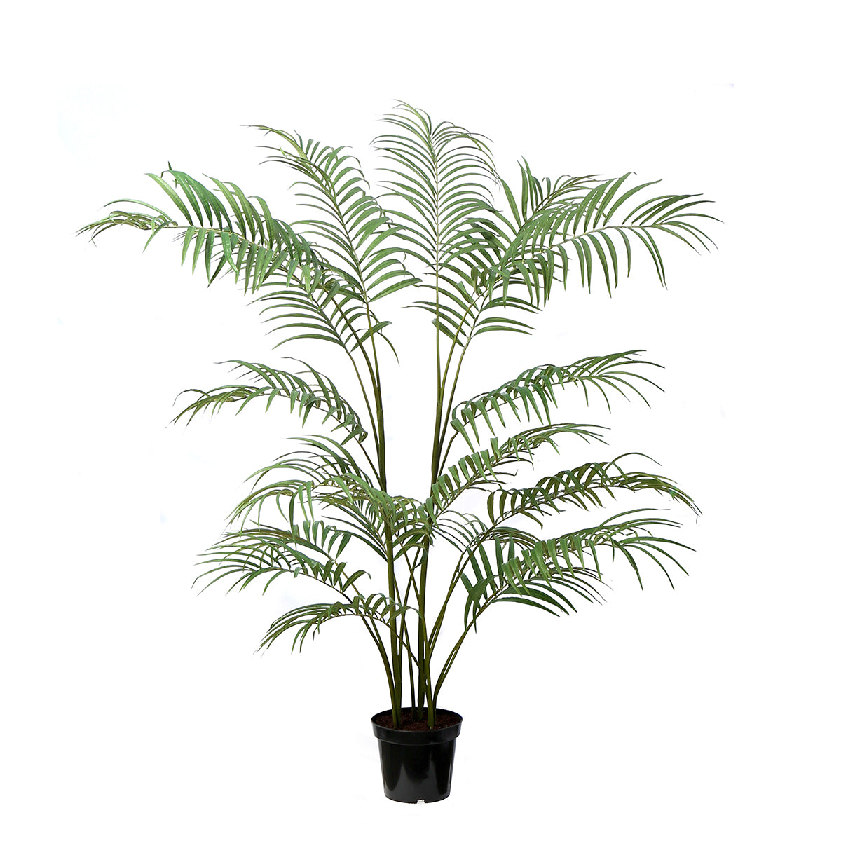 sia-noah-palmier-areca-artificiel-en-pot-vert-180-cm image 1