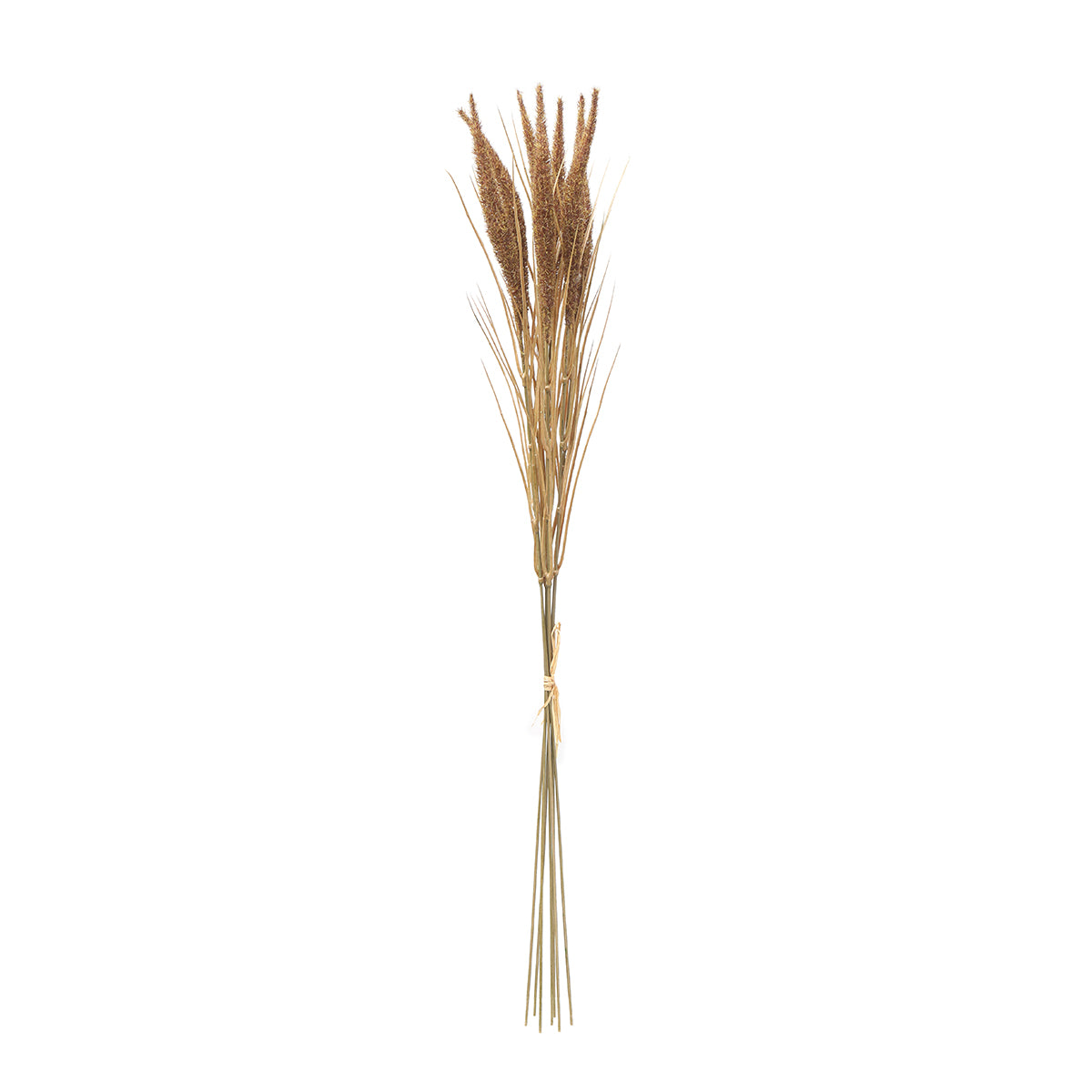 sia-deco-noah-bouquet-pampa-7-tiges-beige-80-cm image 1