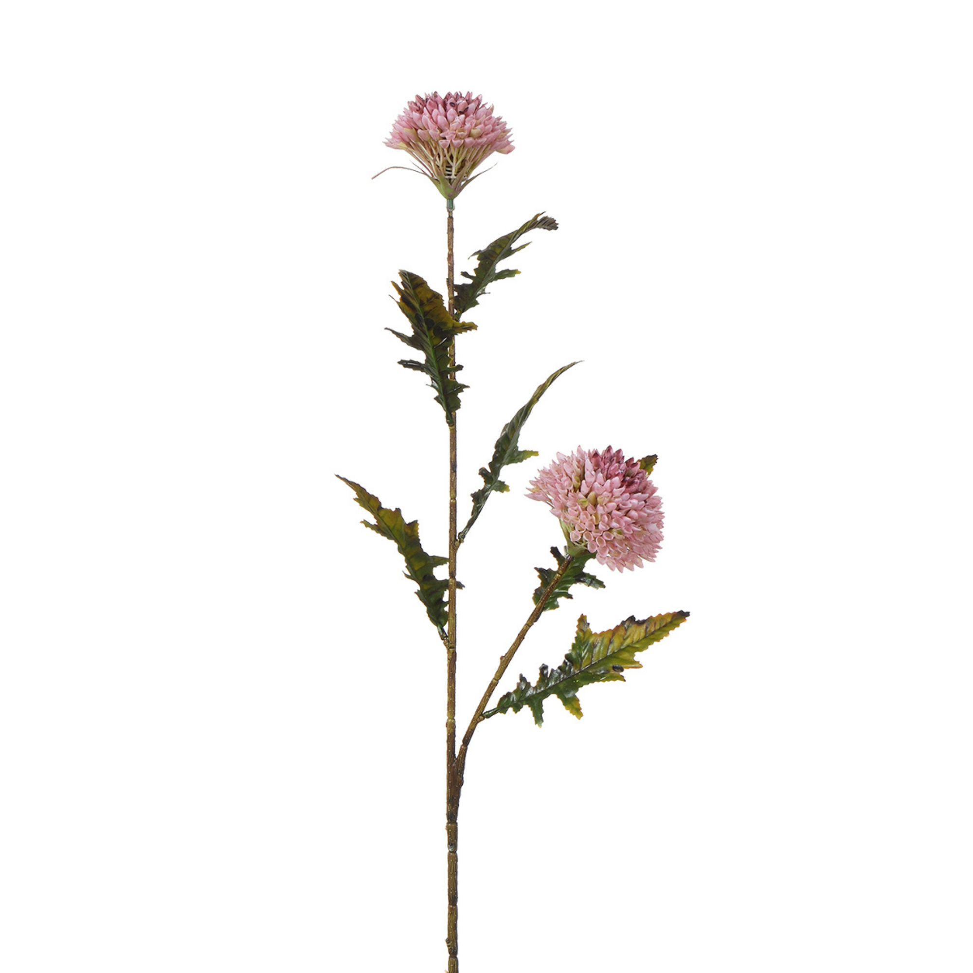 sia-noah-tige-chardon-78-cm-fleur-artificielle-orange image 4