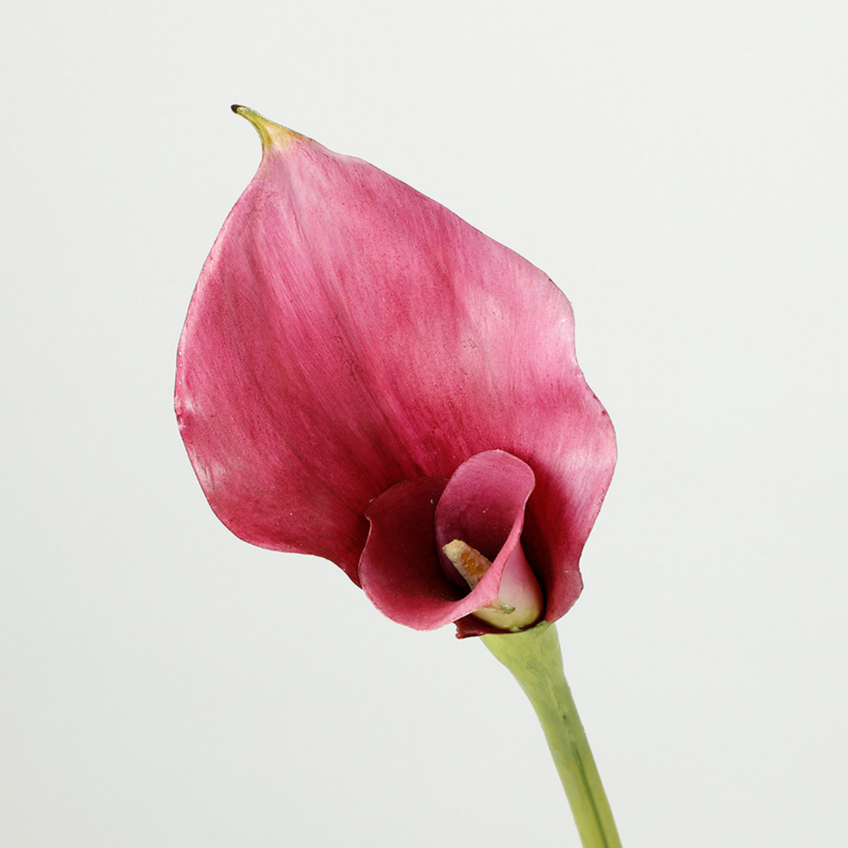 sia-noah-tige-arum-75-cm-fleur-artificielle-blanc-premium image 4