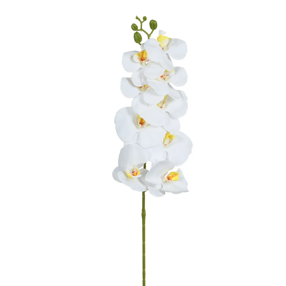 sia-deco-noah-tige-orchid-e-90-cm-blanc-jaune image 1
