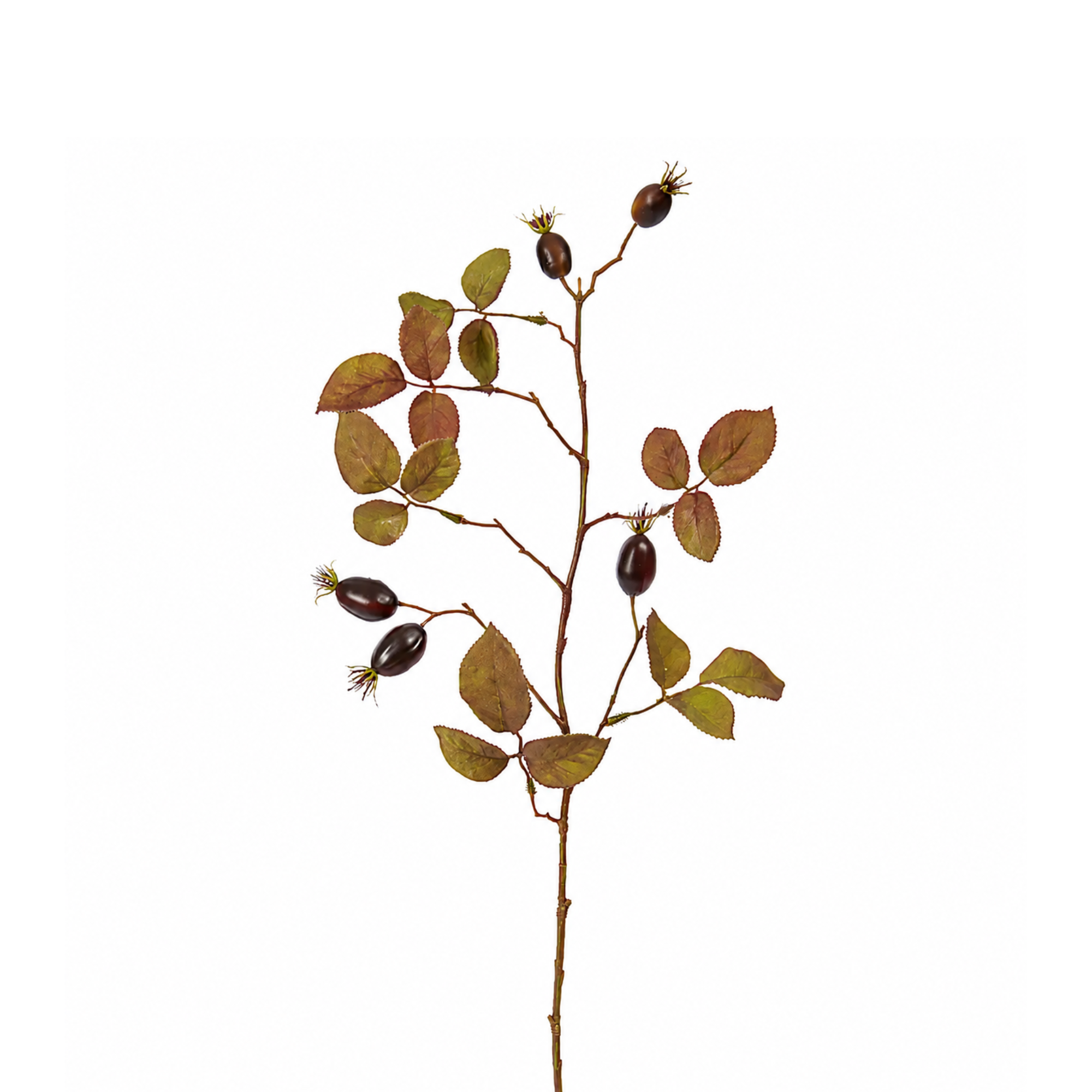 sia-deco-noah-eglantier-66-cm-branche-artificielle-marron image 1