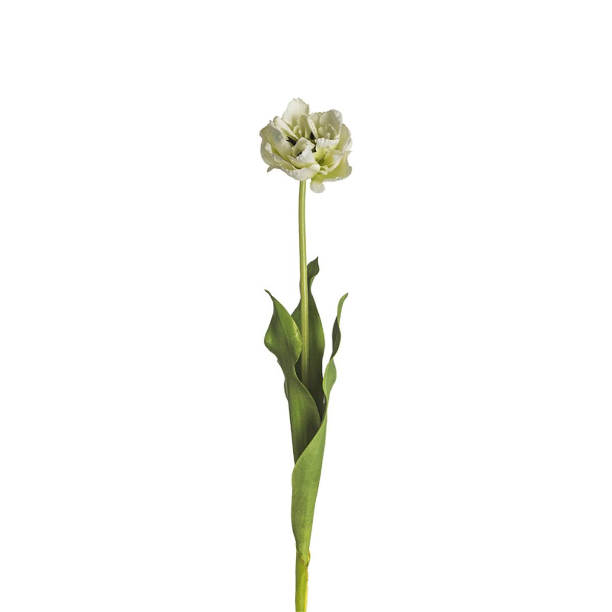 sia-deco-noah-tulipe-double-nina-fleur-artificielle-violet-71-cm image 5