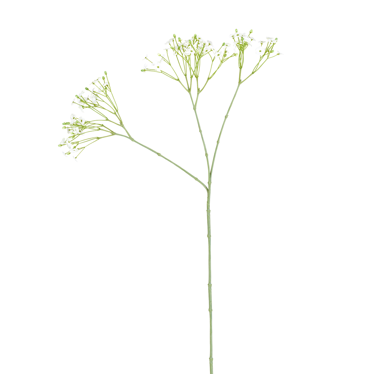 sia-noah-gypsophile-tige-artificielle-blanc-rose-63-cm image 1