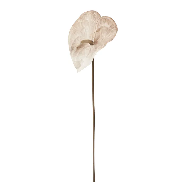sia-deco-noah-anthurium-ombr-fleur-artificielle-marron-76-cm image 1
