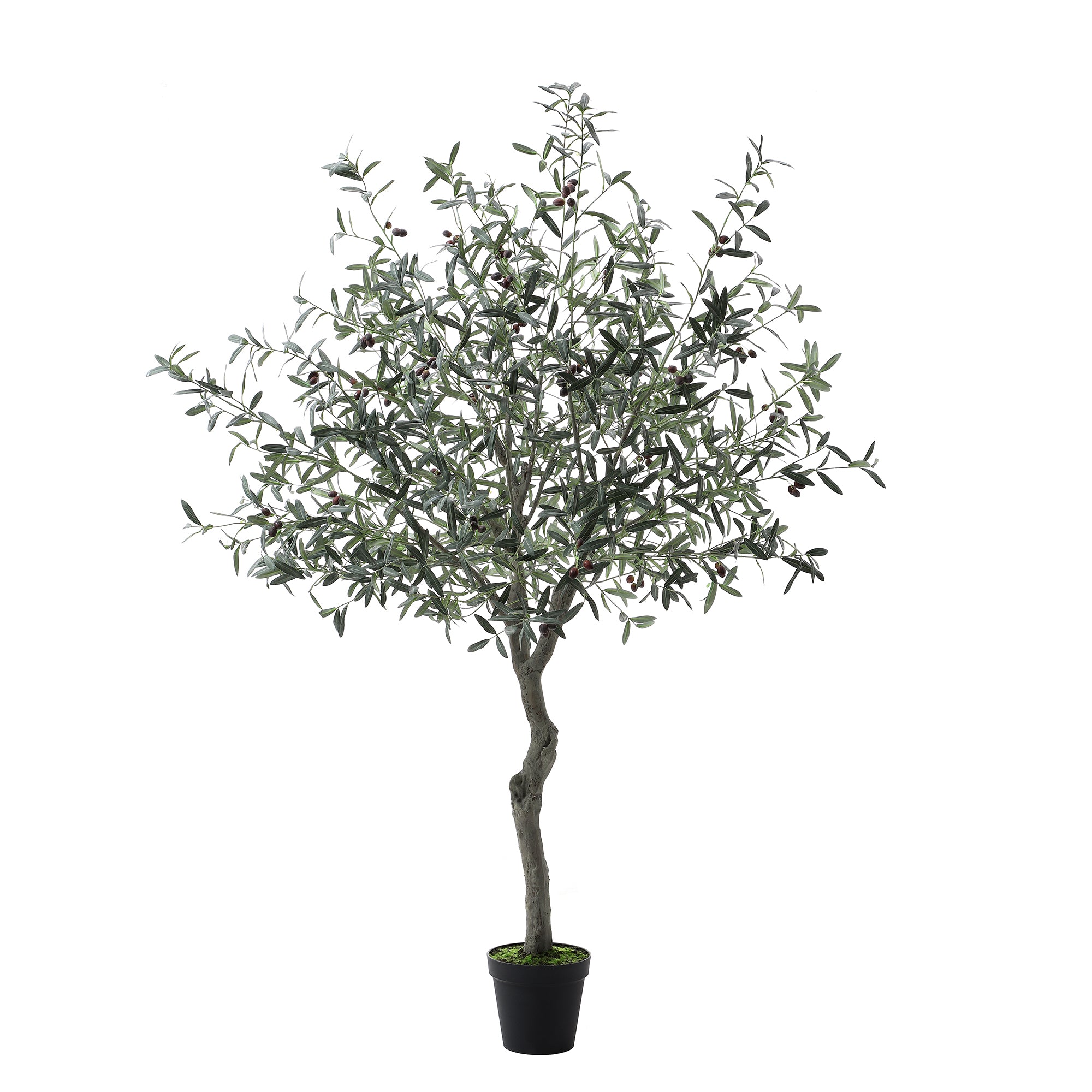 sia-deco-noah-olivier-artificiel-en-pot-vert-210-cm image 1