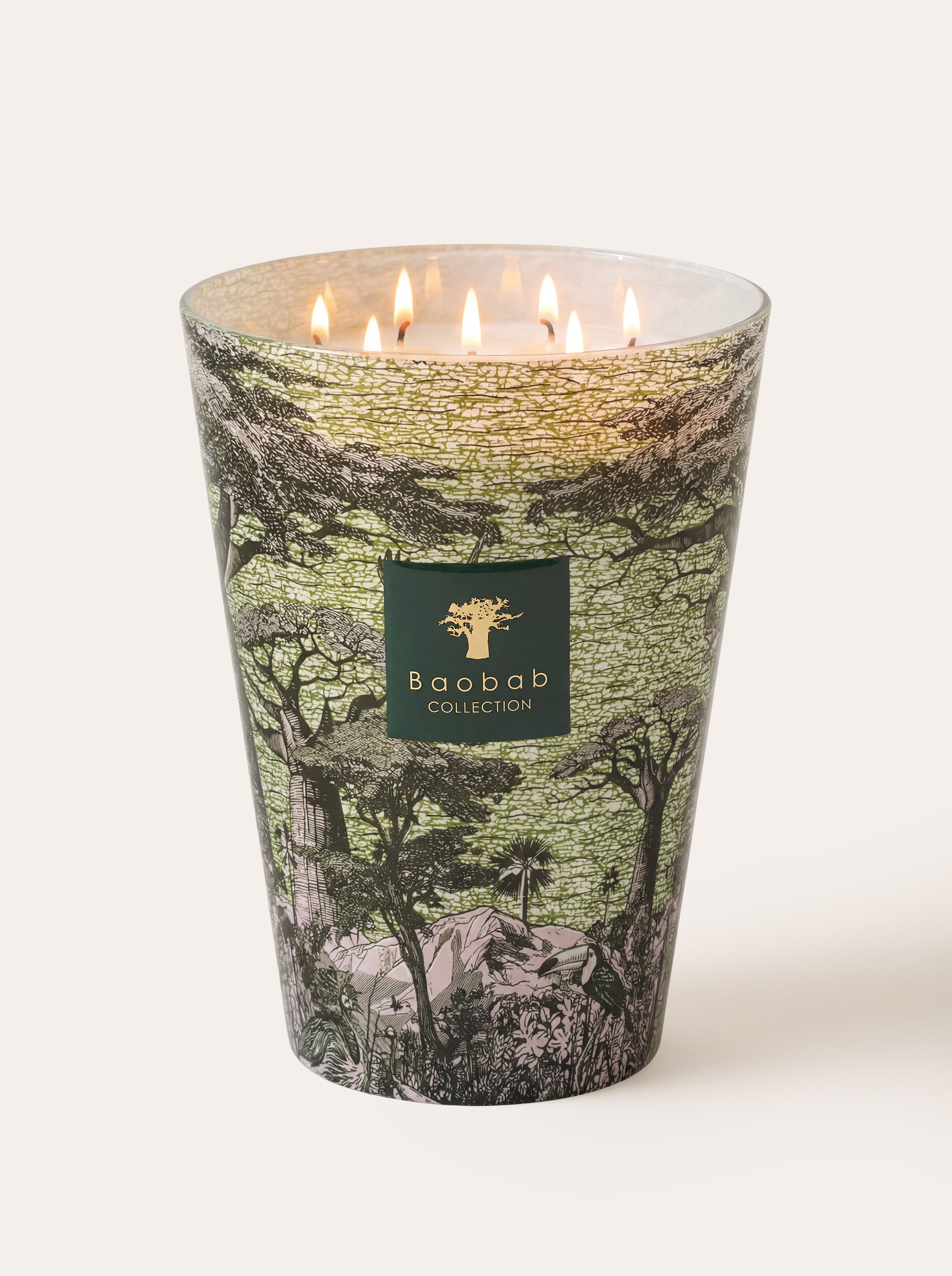 baobab-collection-touba-bougie-parfum-e-classique-sacred-trees image 7