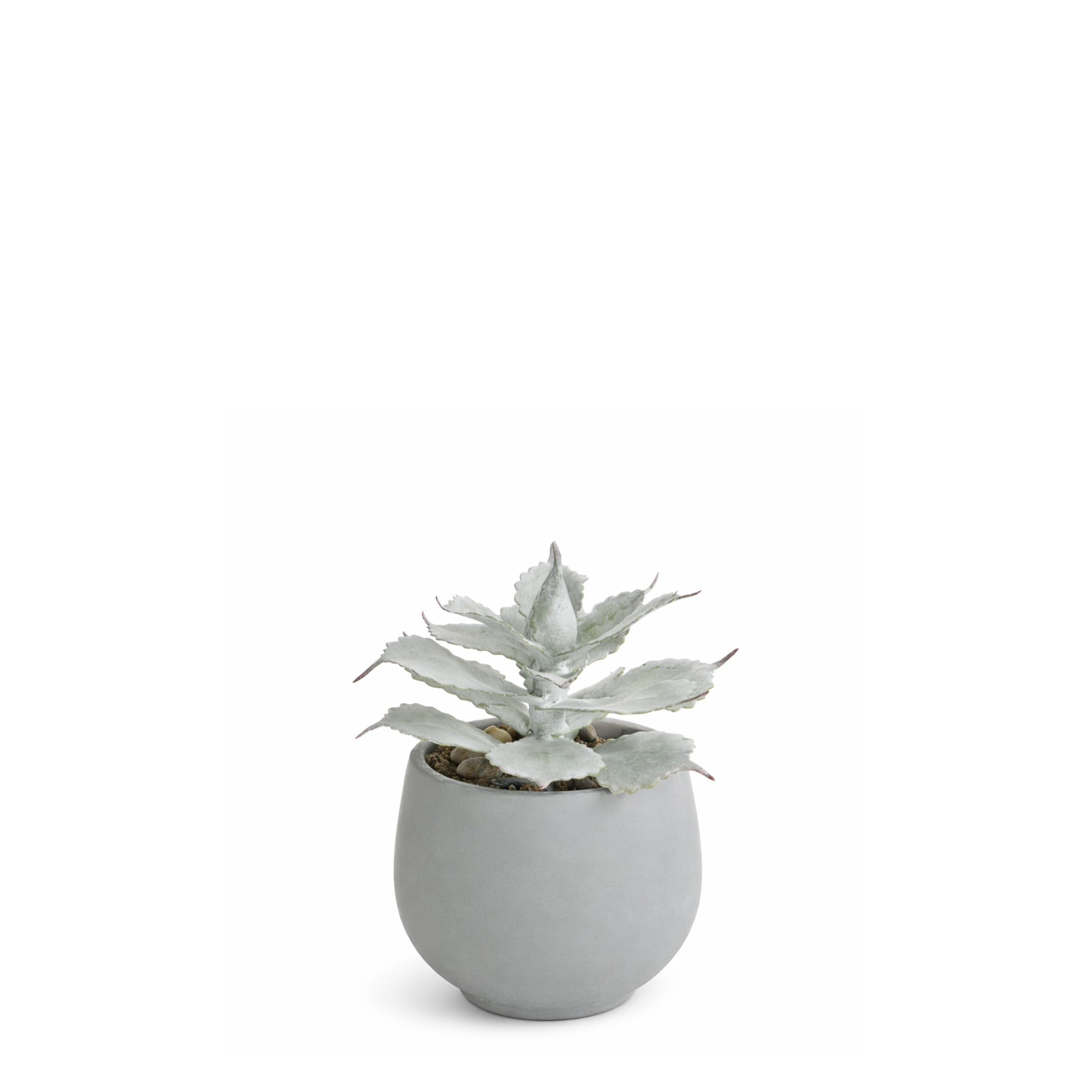 sia-deco-noah-succulente-artificielle-rouge-pot-ciment-21-cm image 1