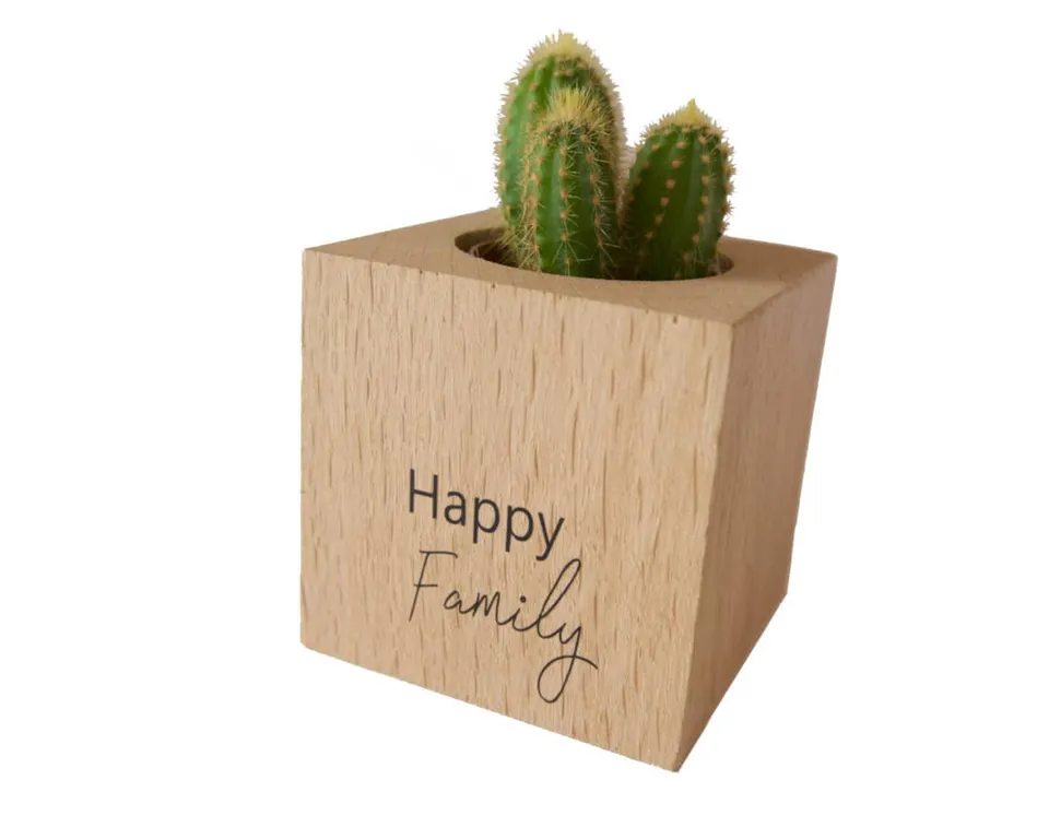 am-cla-happy-family-cache-pot-bois-cube-9x9-ch-ne image 1