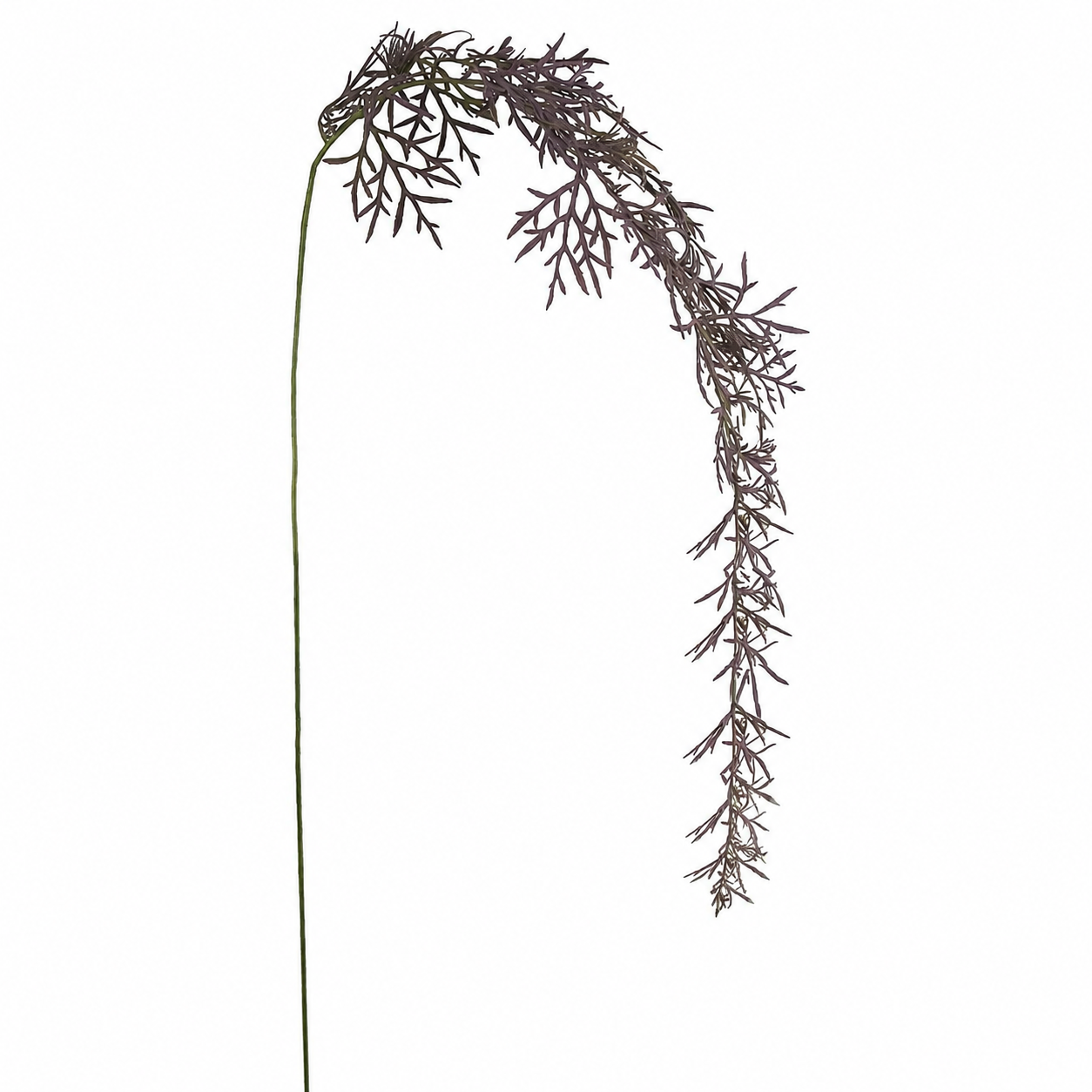 sia-noah-feuillage-herbe-tombante-129-cm-vert image 1