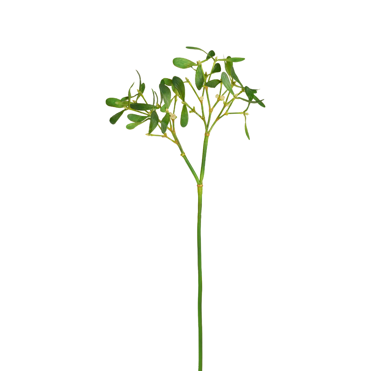 sia-noah-branche-gui-artificiel-vert-68-cm-baies image 1