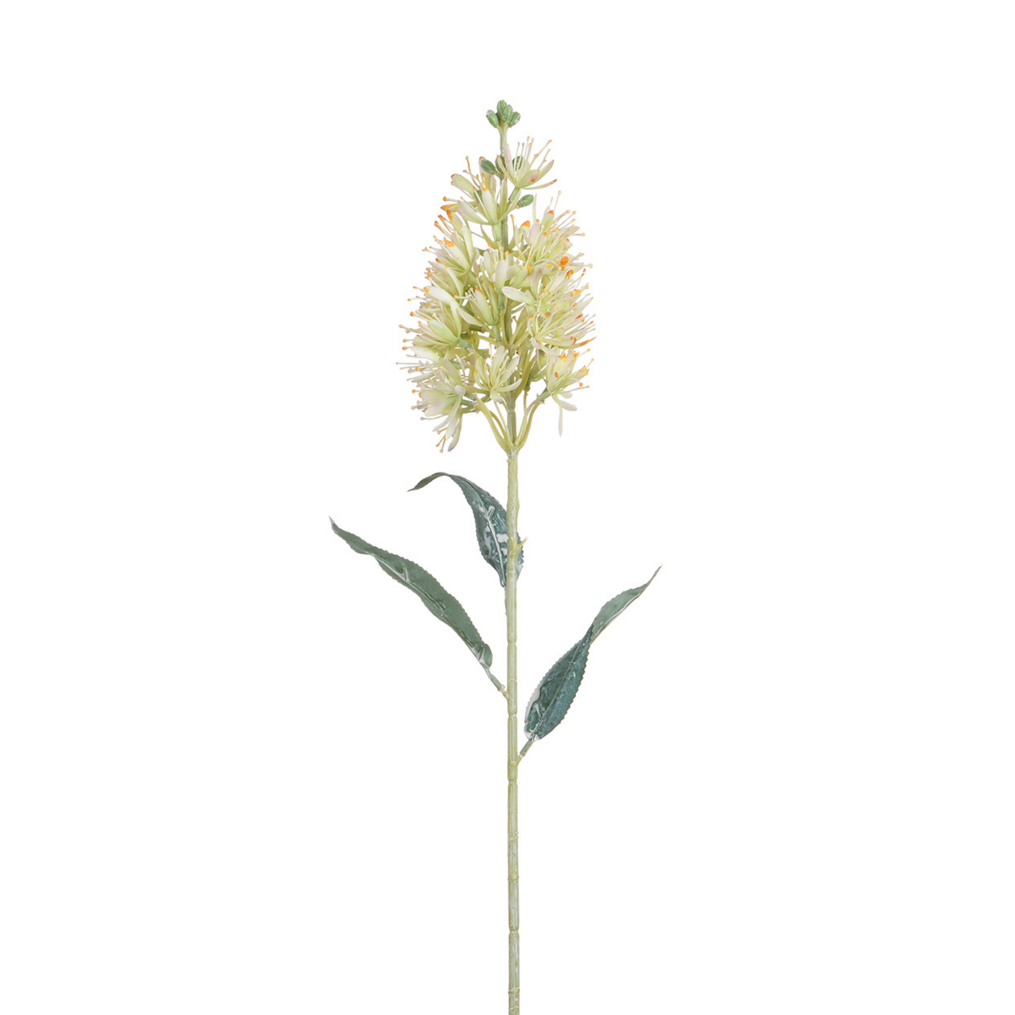 sia-noah-tige-allium-artificielle-blanche-78-cm image 1