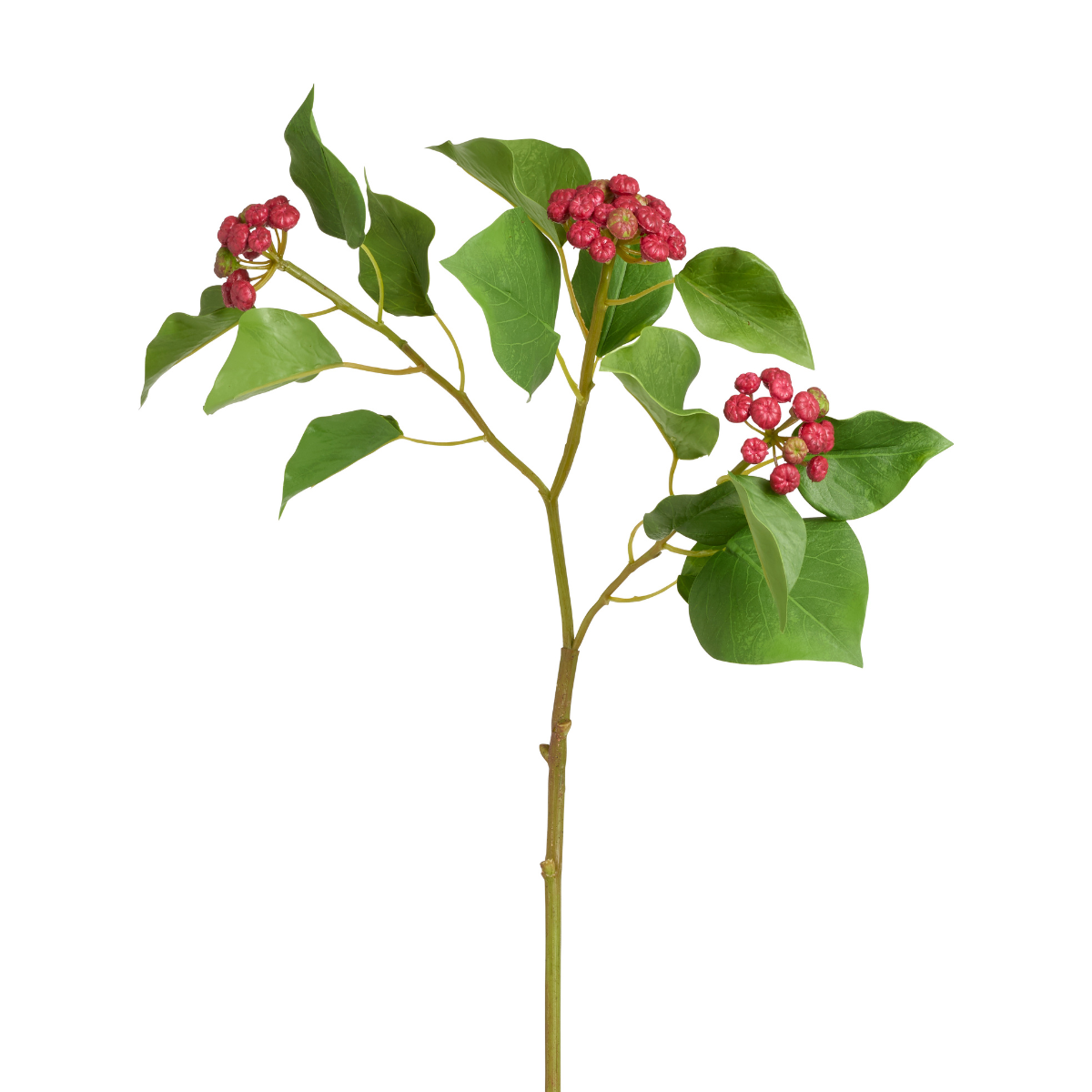 sia-deco-noah-houx-japonais-branche-artificielle-rouge-58-cm image 2