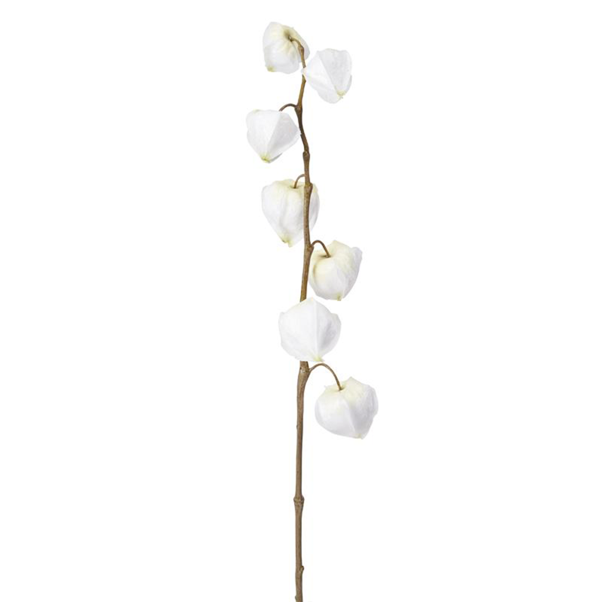 sia-deco-noah-tige-fleur-physalis-marly-90cm-bordeaux image 3