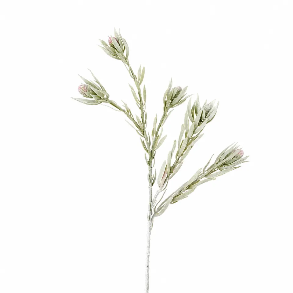 sia-noah-feuillage-protea-tombant-rose-77-cm image 1