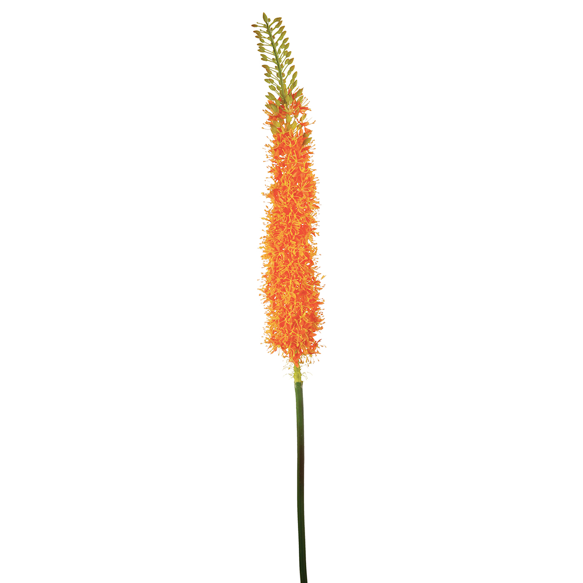 sia-noah-tige-lis-des-steppes-artificielle-125-cm-blanc image 2