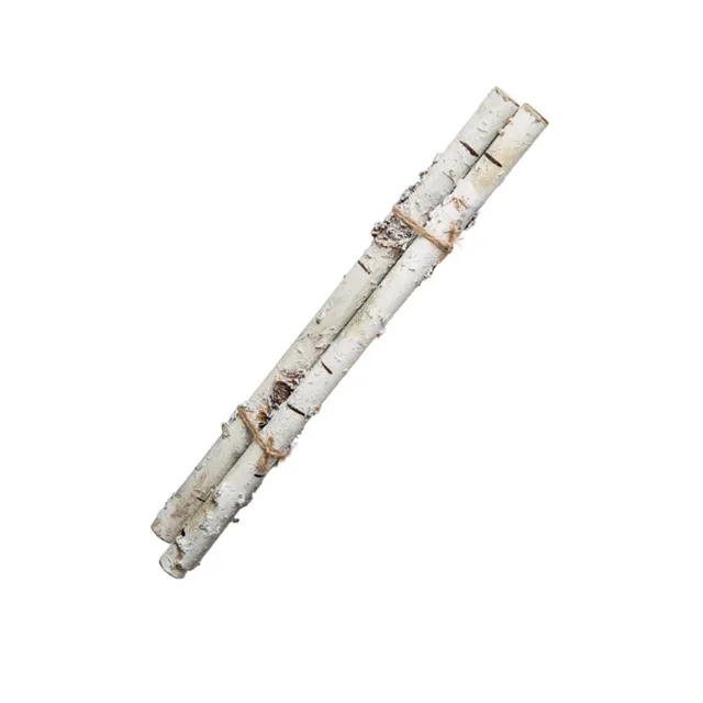 sia-deco-noah-branches-bouleau-blanc-lot-2-30-cm image 1