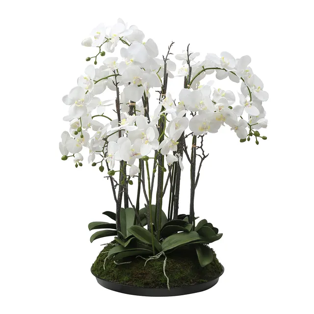 sia-deco-noah-composition-orchid-e-artificielle-blanc-90-cm image 1