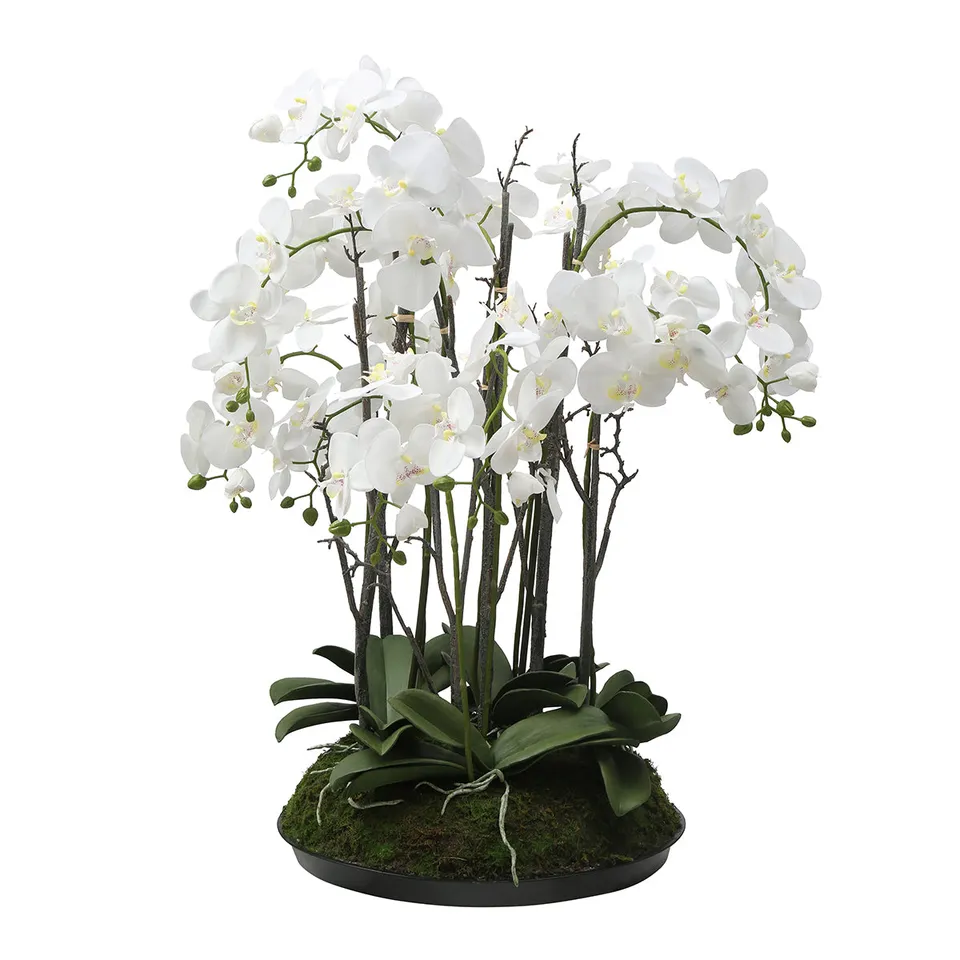 sia-deco-noah-composition-orchid-e-artificielle-blanc-90-cm image 1