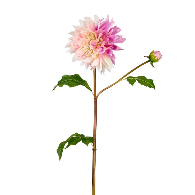 sia-deco-noah-dahlia-estiva-fleur-artificielle-rose-20-cm image 1