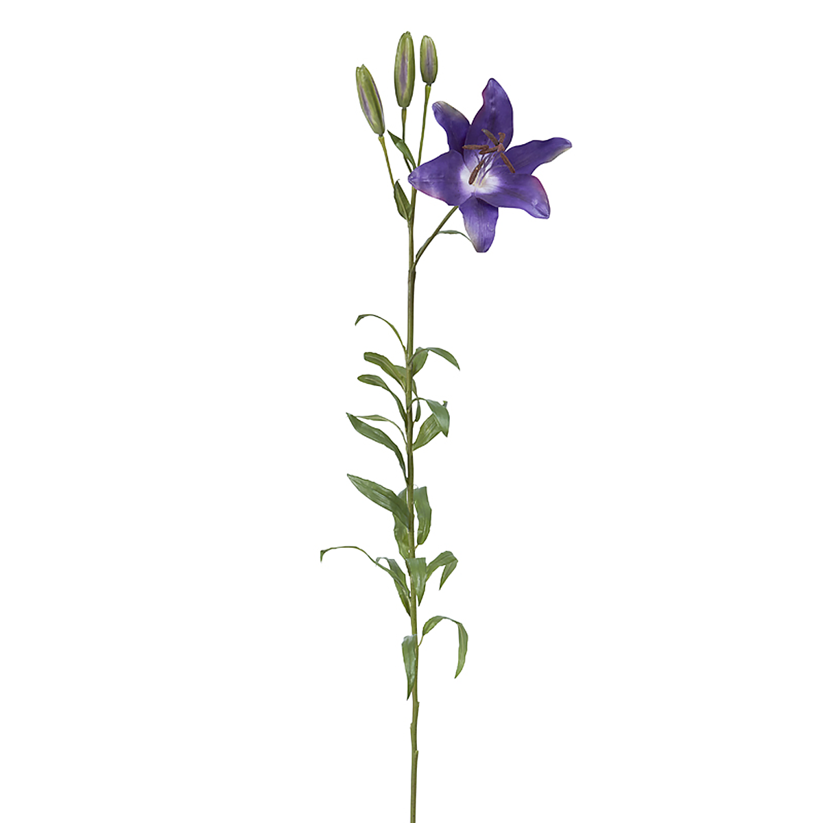 sia-deco-noah-lily-rubrum-elsa-tige-fleur-rouge-98-cm image 3