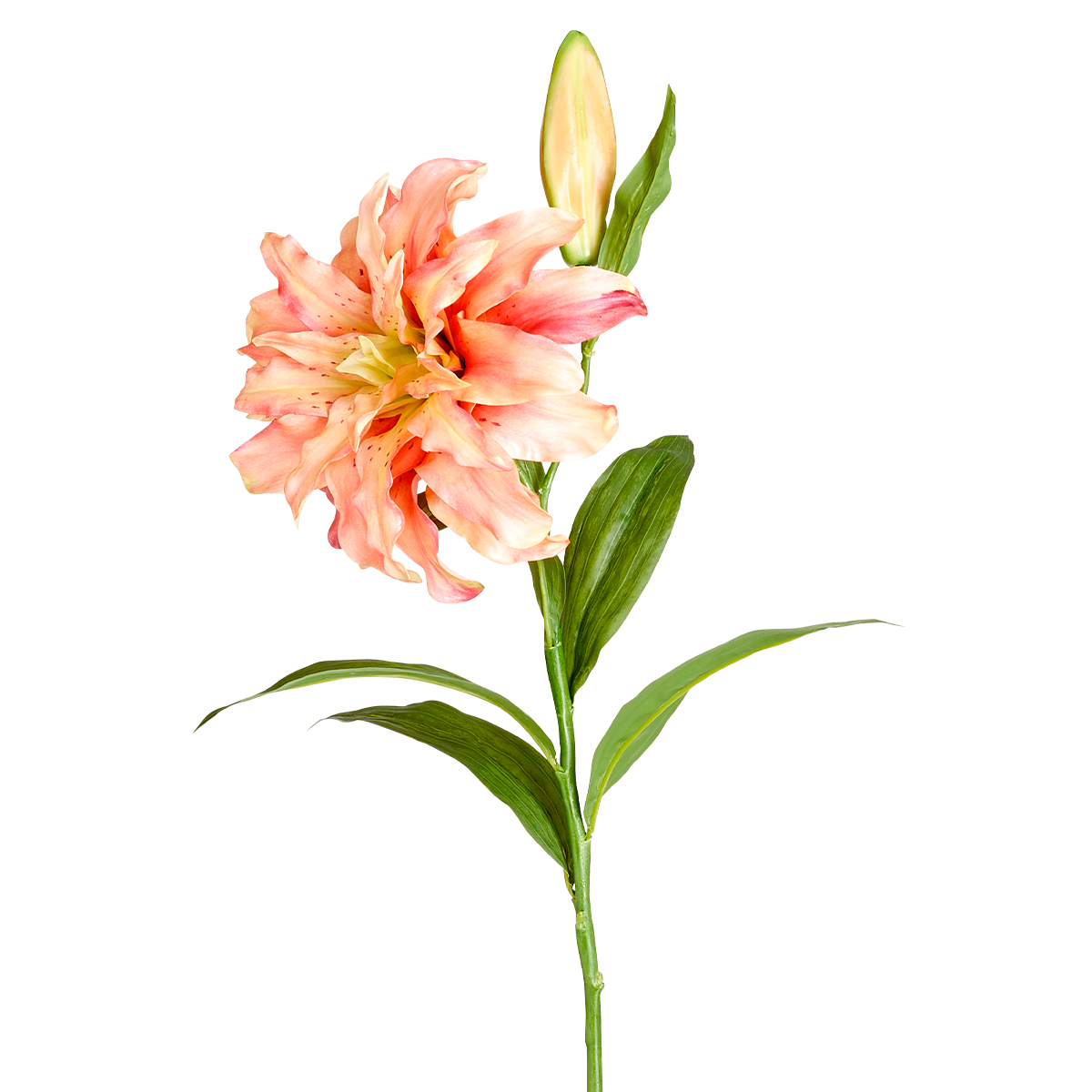 sia-deco-noah-lys-oriental-double-fleur-artificielle-orange-78-cm image 3