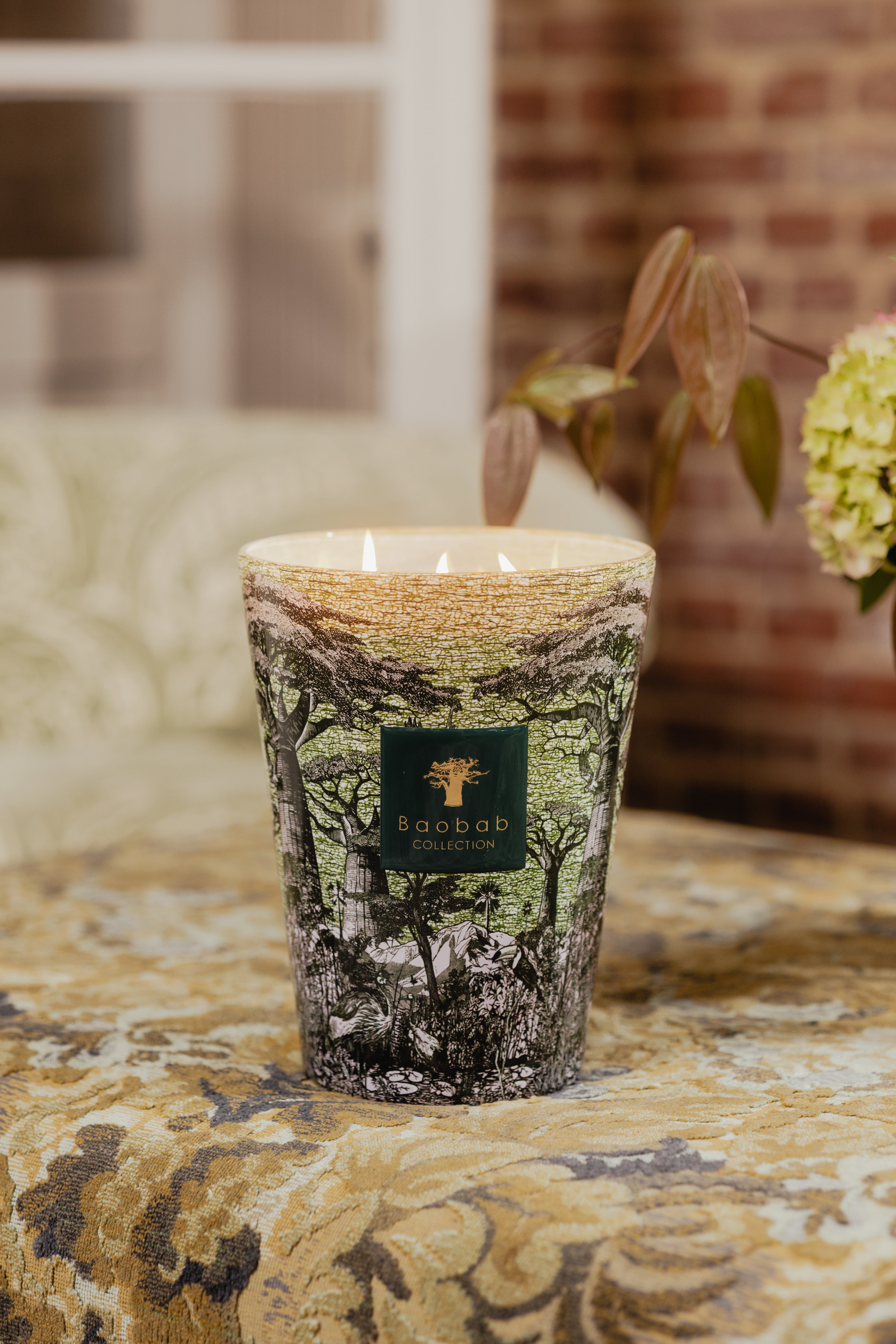 baobab-collection-touba-bougie-parfum-e-classique-sacred-trees image 3