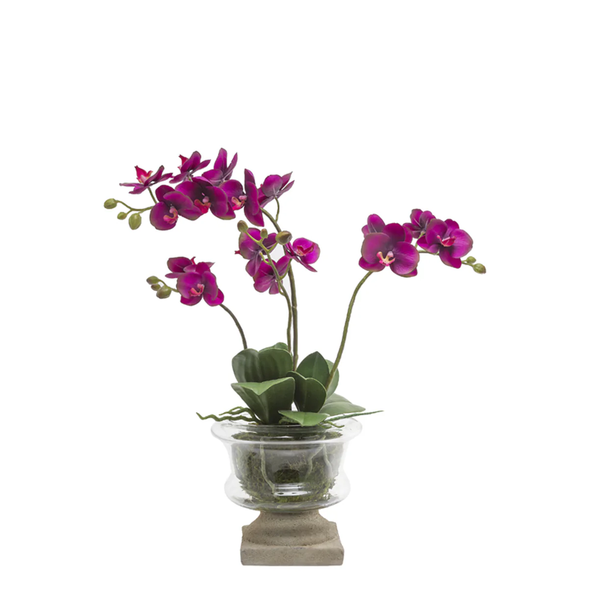sia-deco-noah-orchid-e-artificielle-blanc-58-cm-pot-verre image 6