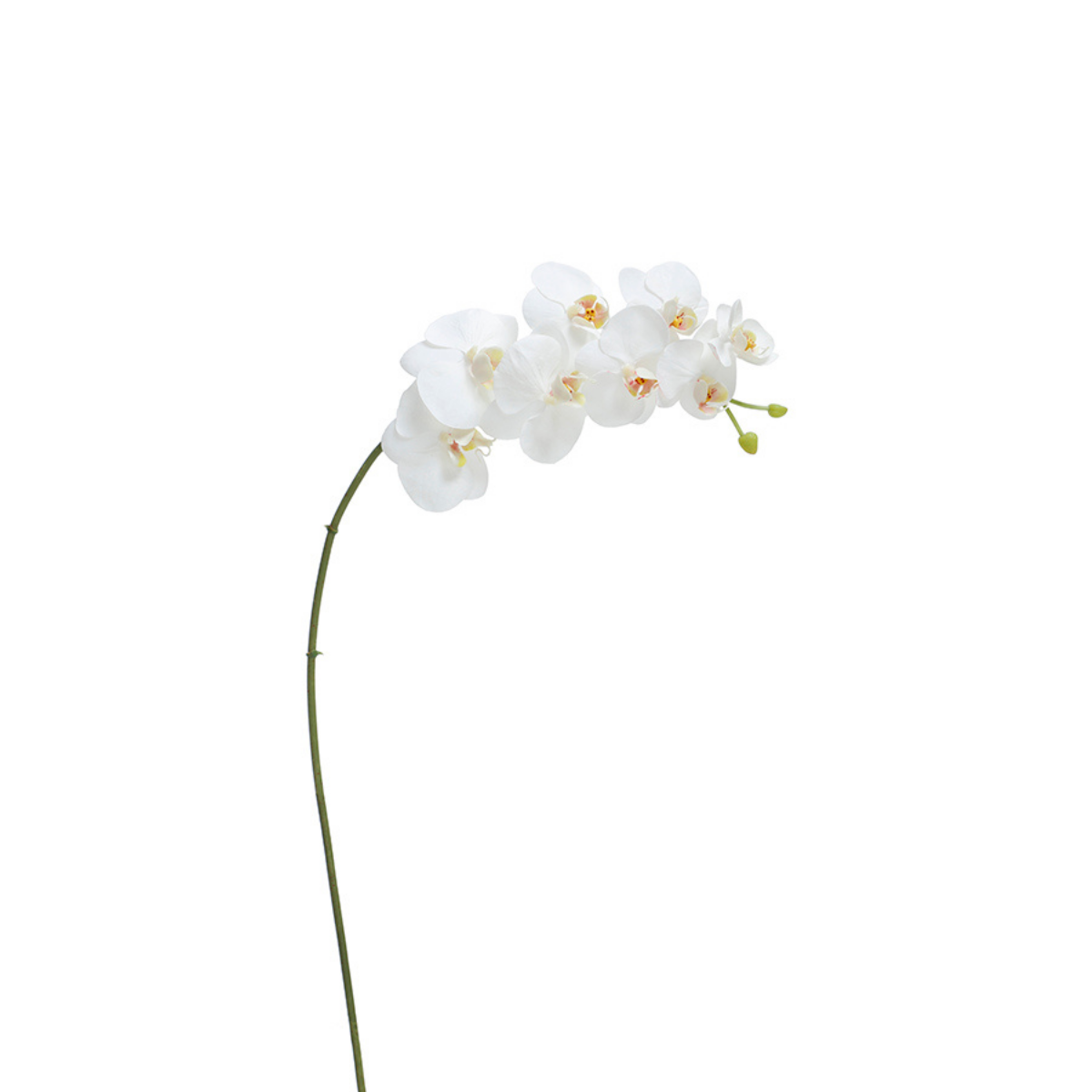 sia-noah-tige-orchid-e-artificielle-blanche-72-cm-premium image 5