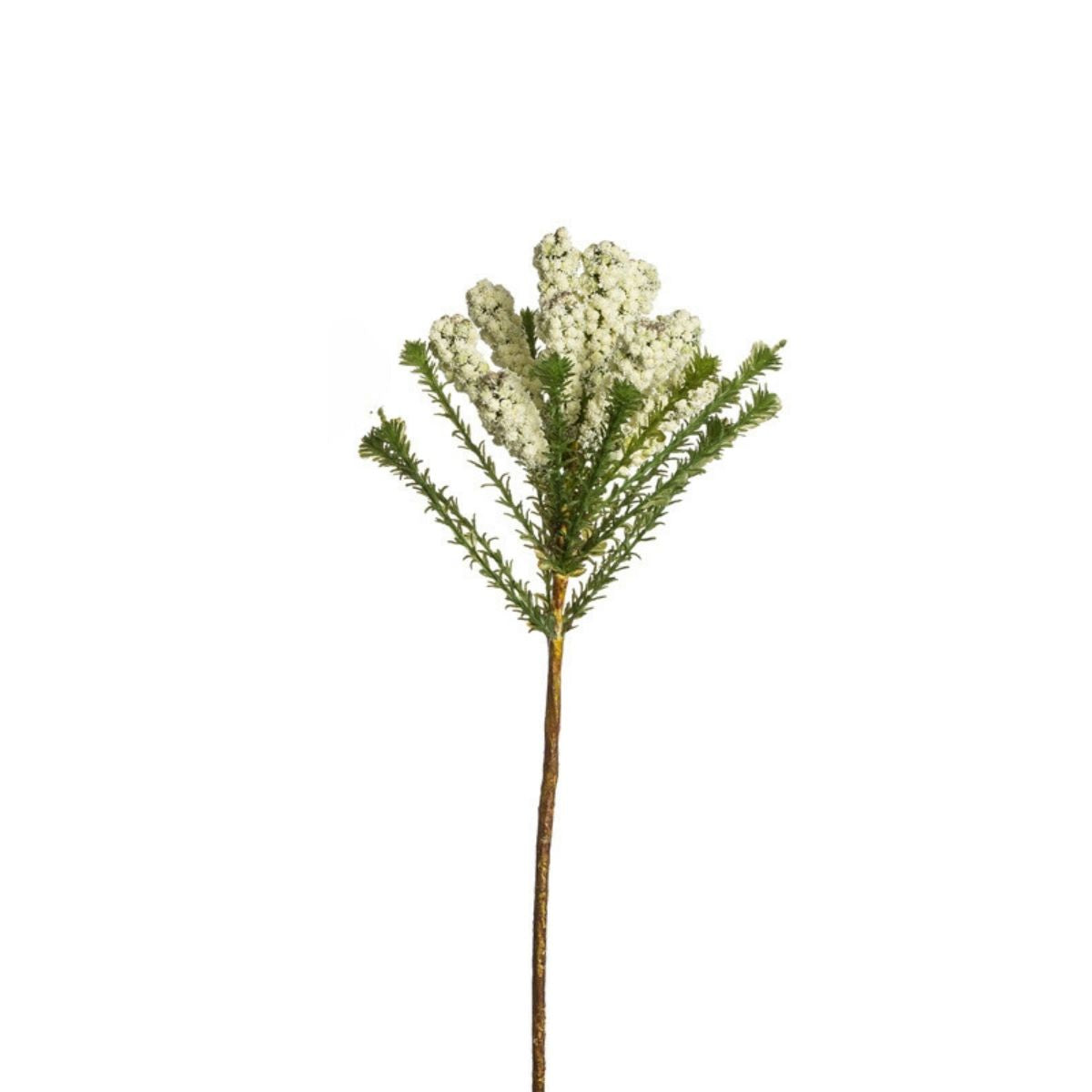 sia-deco-noah-pin-africain-48-cm-tige-cr-me-vert image 1