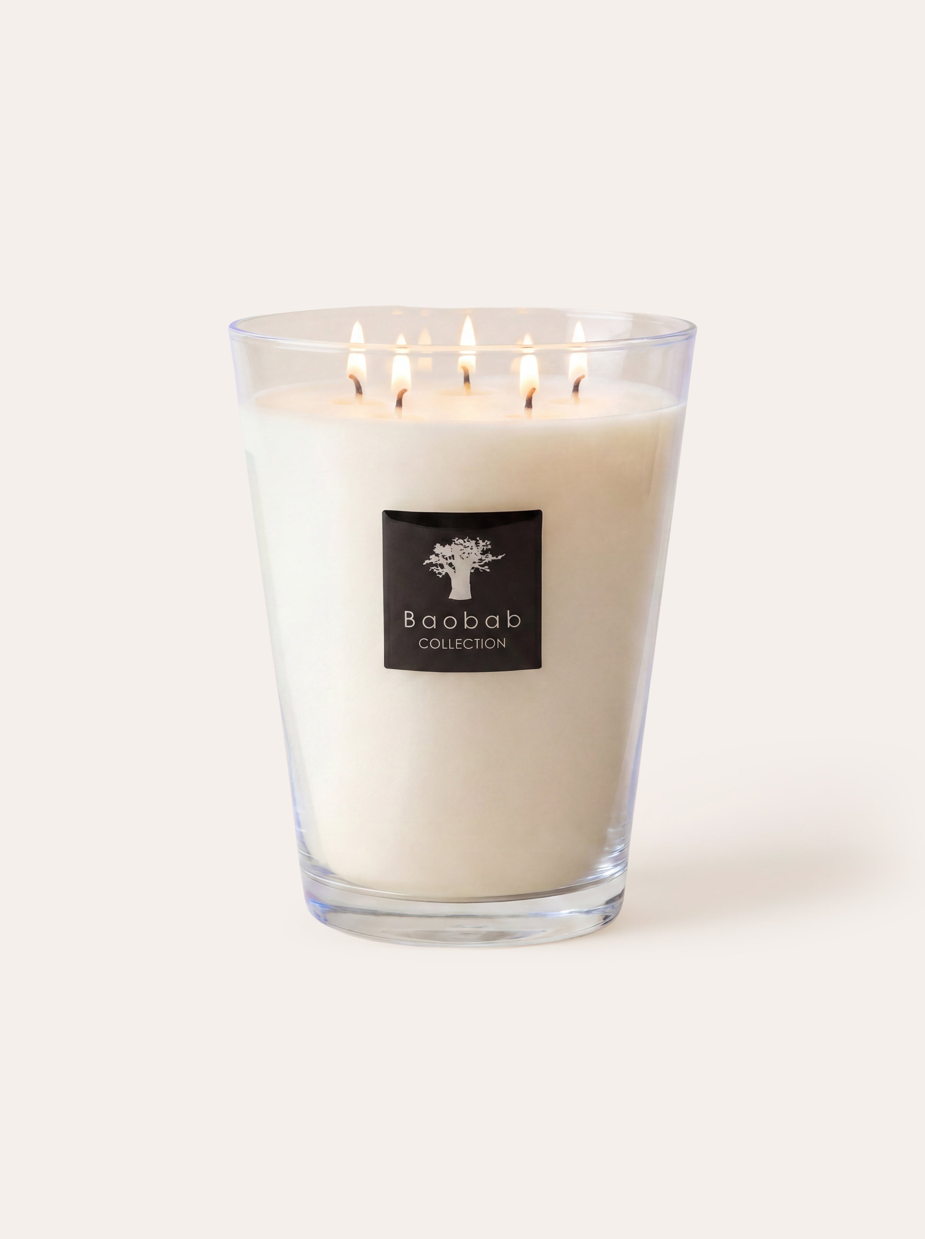 baobab-all-seasons-madagascar-vanilla-bougie-classique image 1