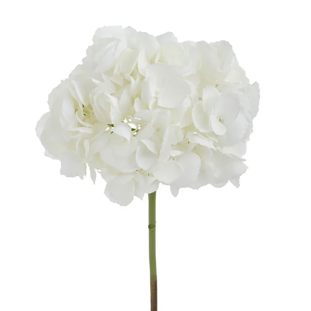 sia-noah-tige-hortensia-premium-bleu-48-cm image 1