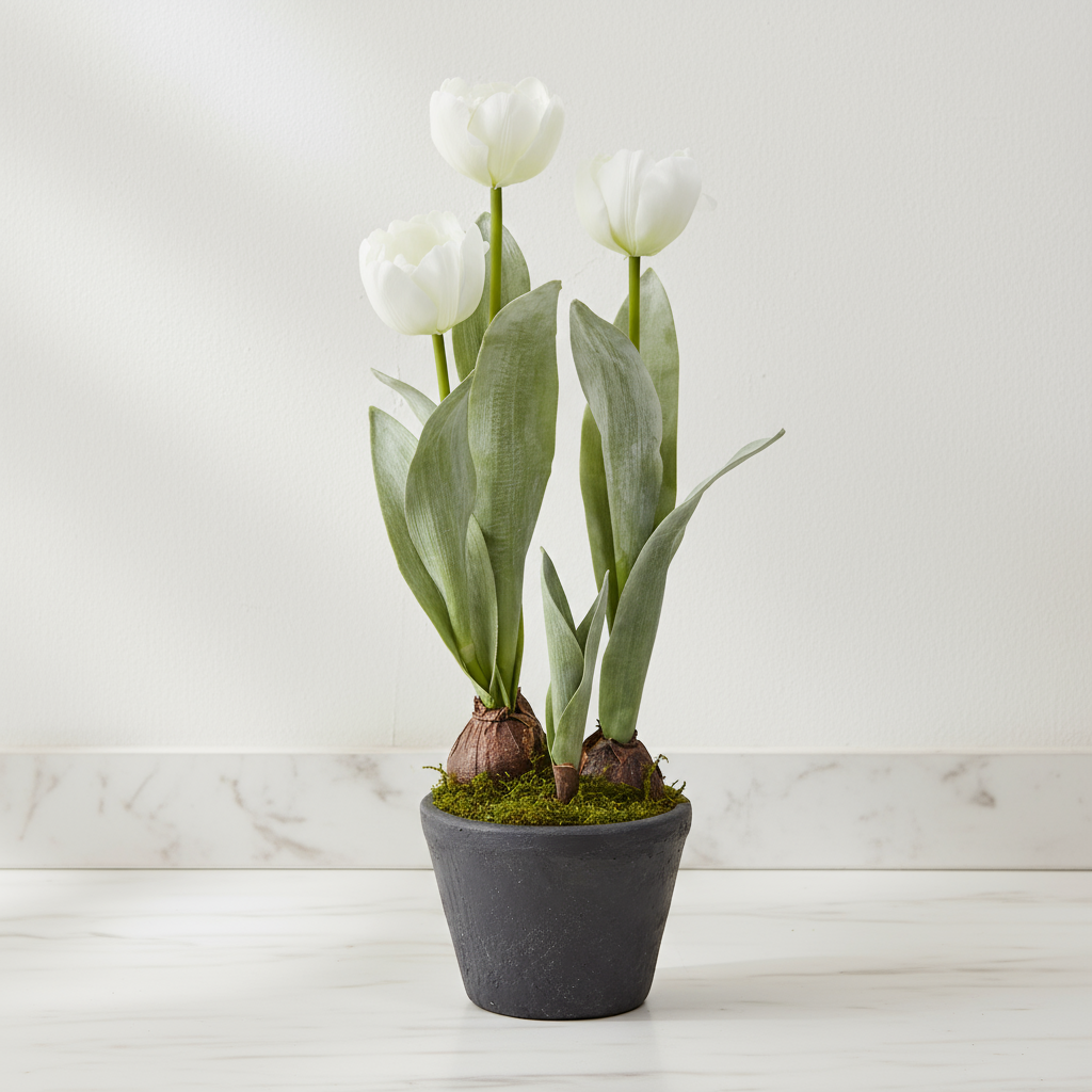 sia-deco-noah-tulipes-givr-es-en-pot-46-cm-blanc image 4