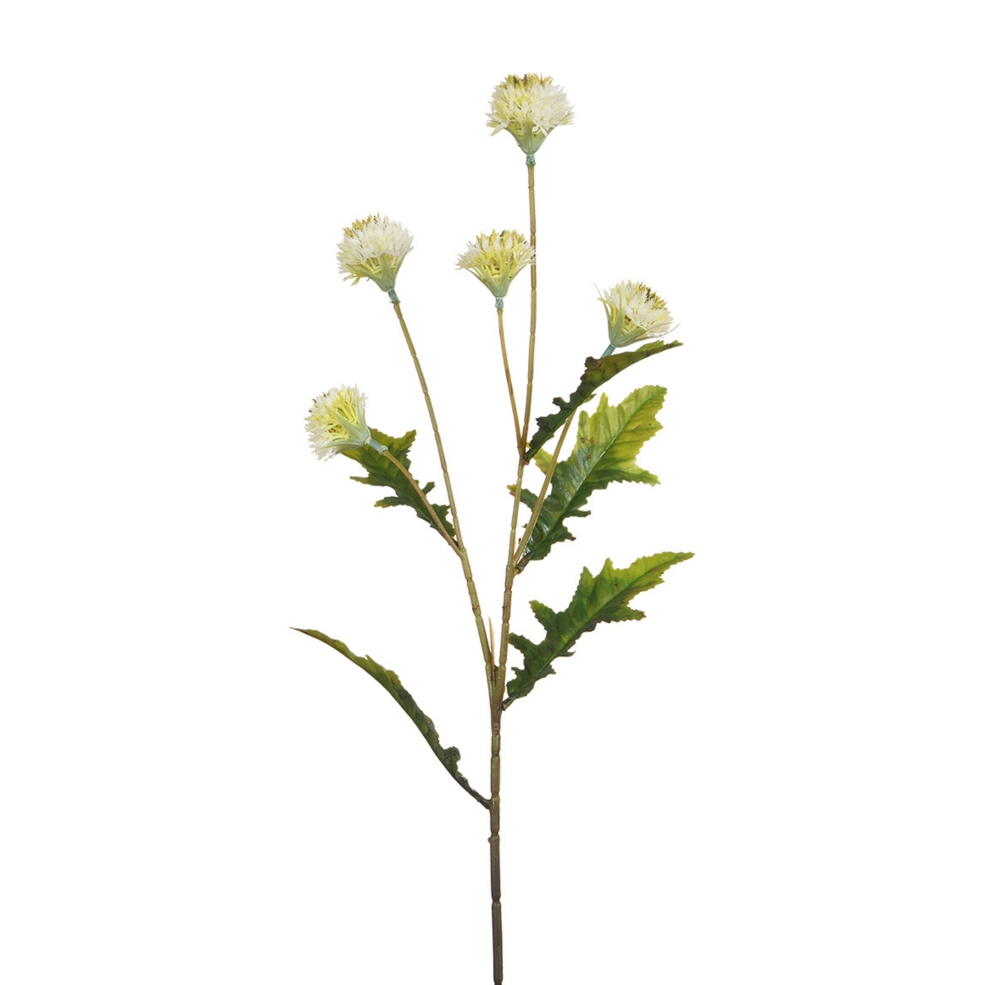 sia-deco-noah-chrysanth-me-ping-pong-fleur-artificielle-blanc-62-cm image 1