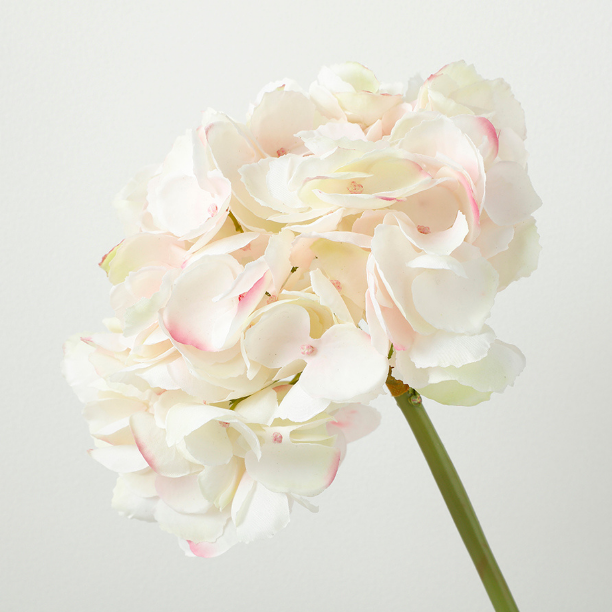 sia-noah-tige-hortensia-premium-bleu-48-cm image 6