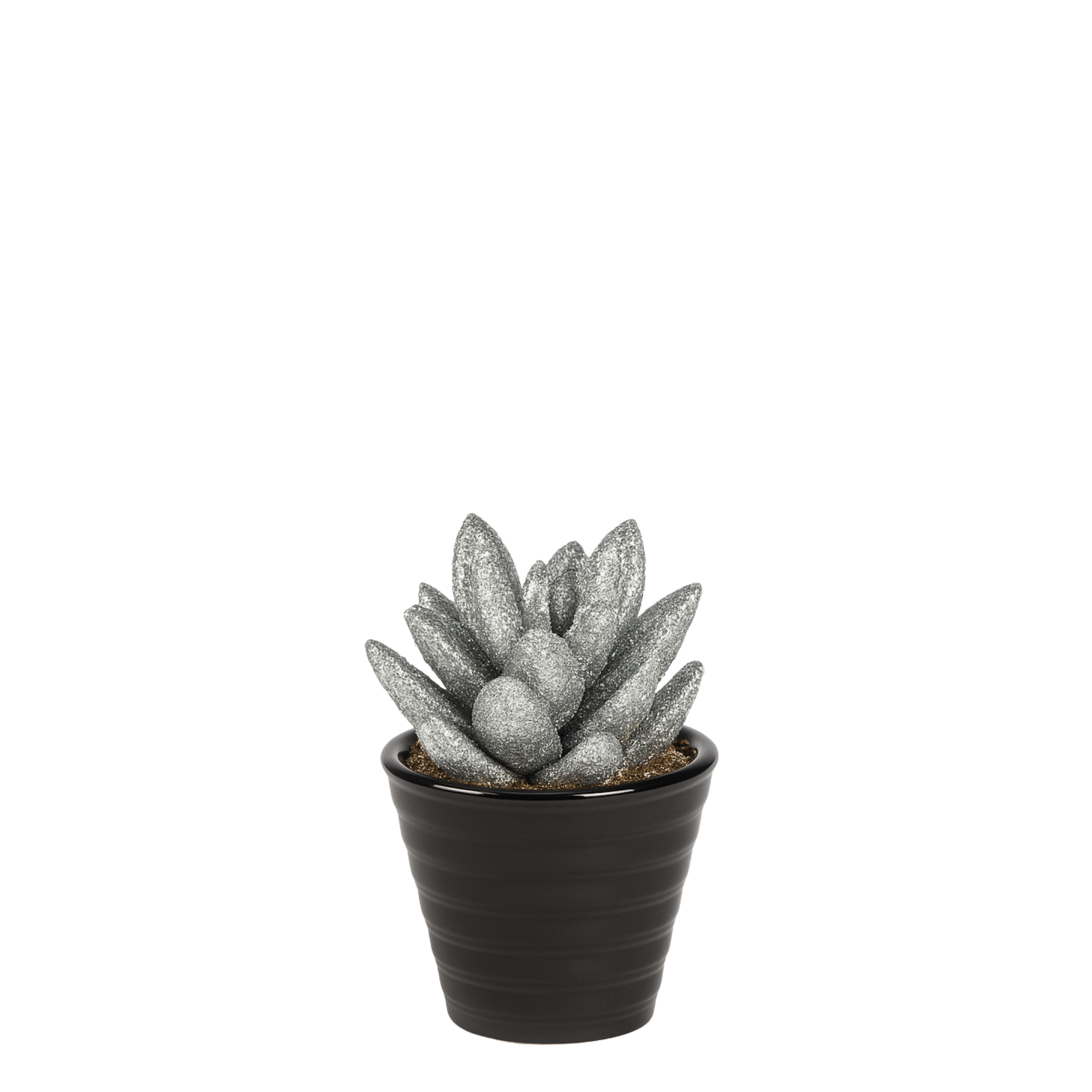 sia-noah-pachyphytum-plante-artificielle-argent-15-cm image 1