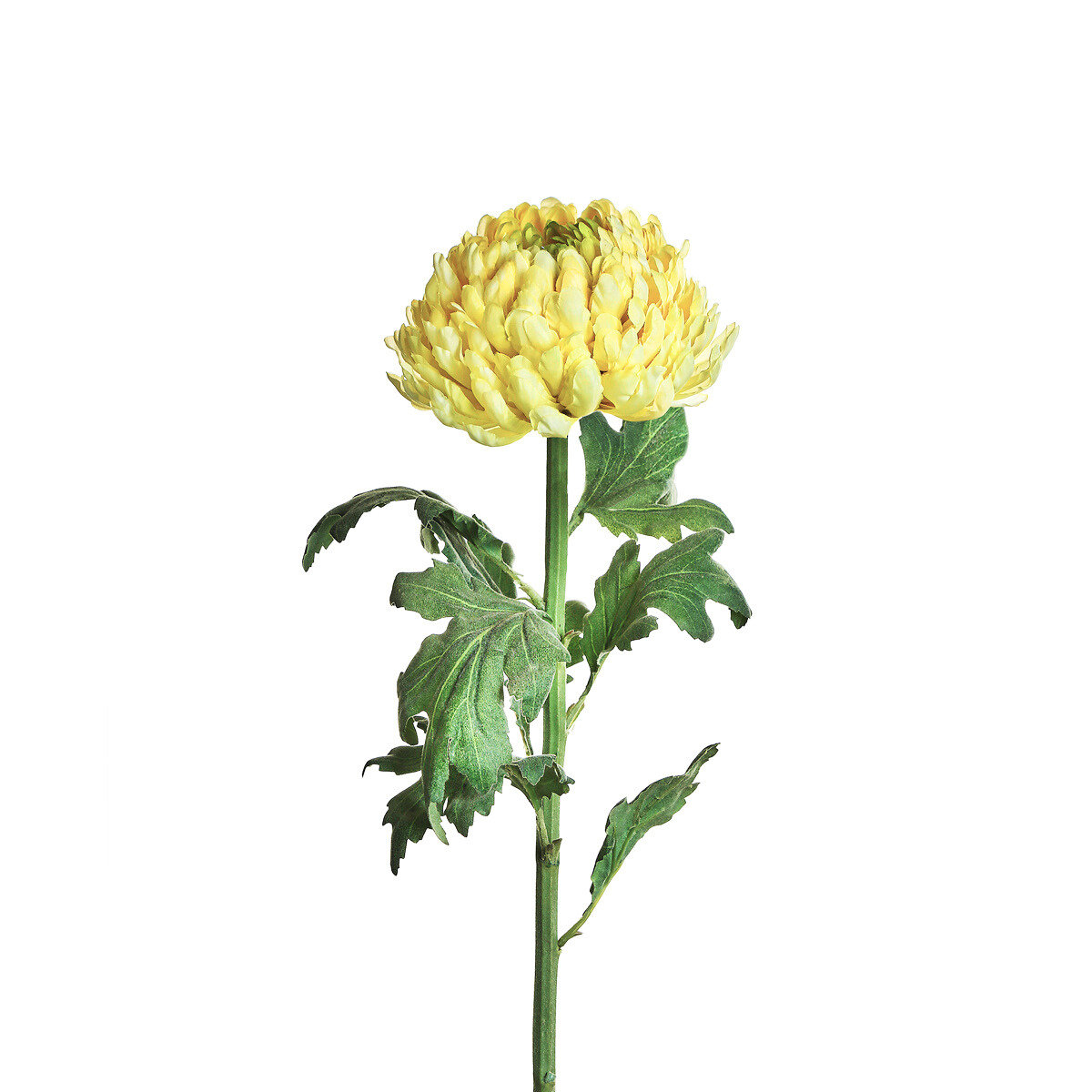 sia-noah-chrysanth-me-artificiel-86-cm-jaune-p-le image 1