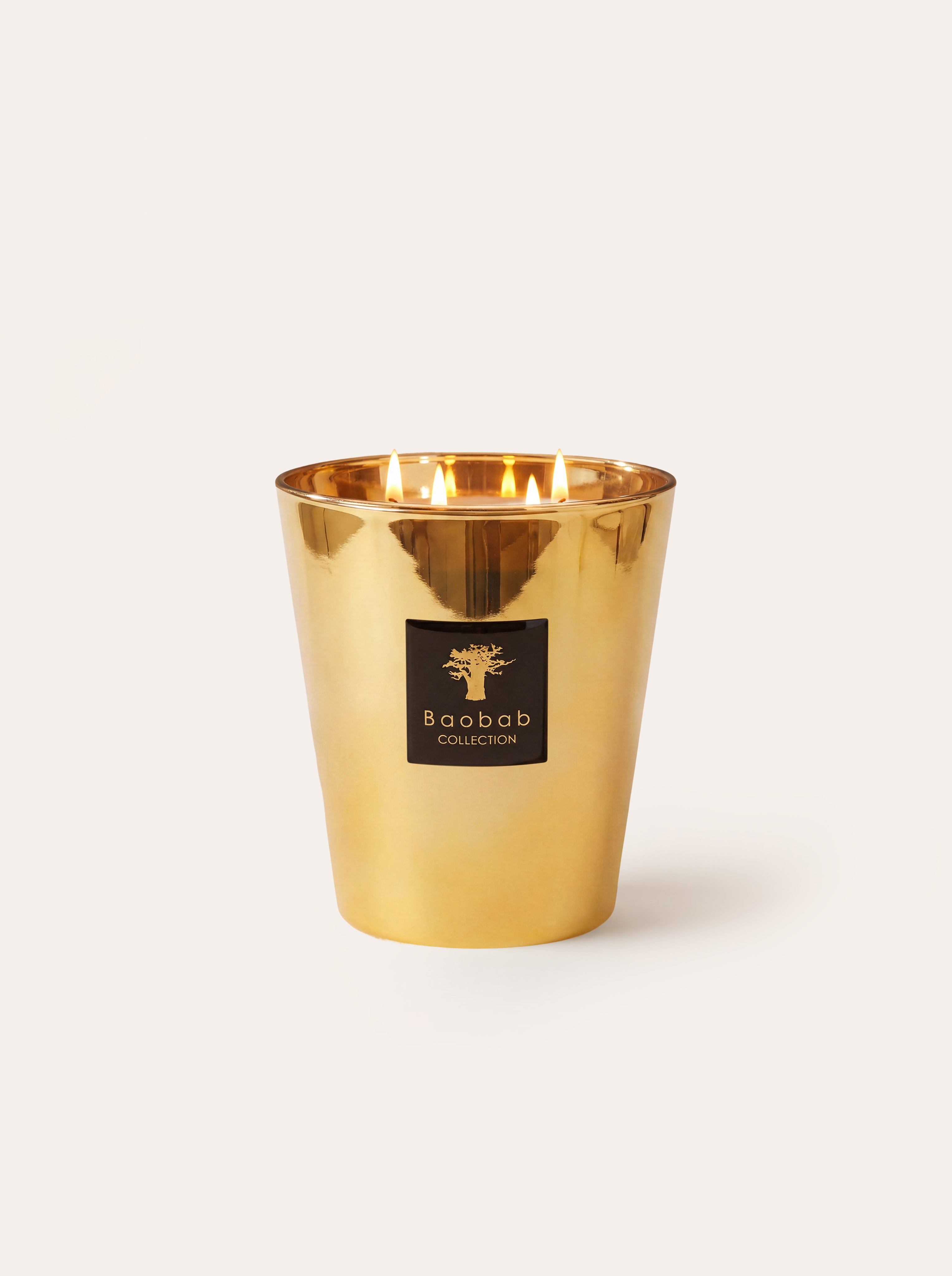 baobab-collection-les-exclusives-aurum-bougie-parfum-e-petite-or image 5