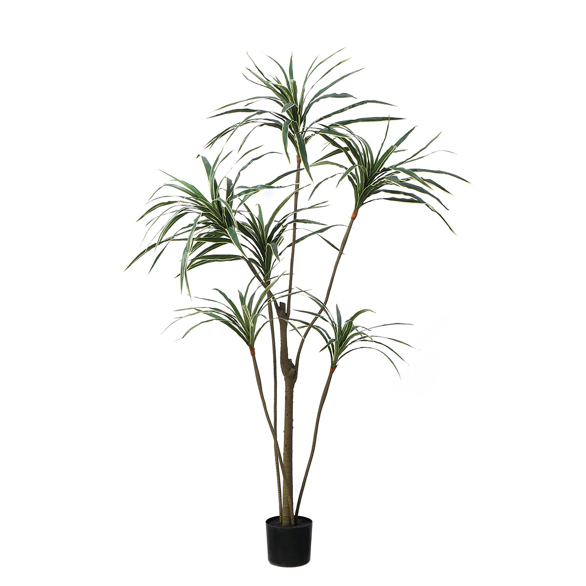 sia-noah-yucca-artificiel-vert-en-pot-190-cm-rosettes image 1